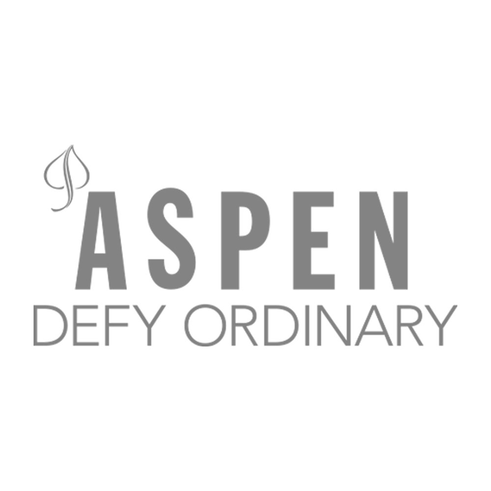Aspen Ski Company Aspen Colorado (Copy)