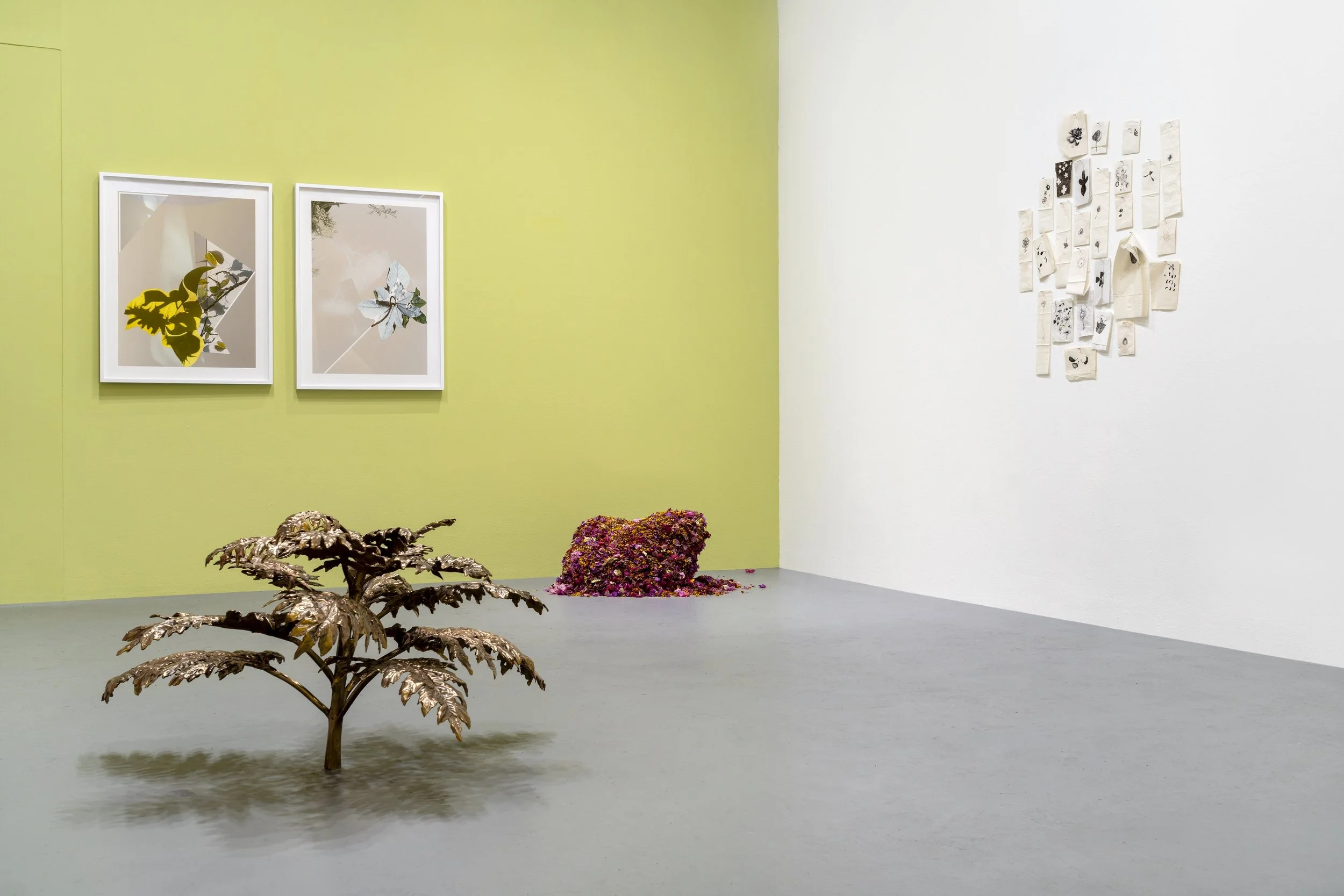 A landscape longed for: the garden as disturbance