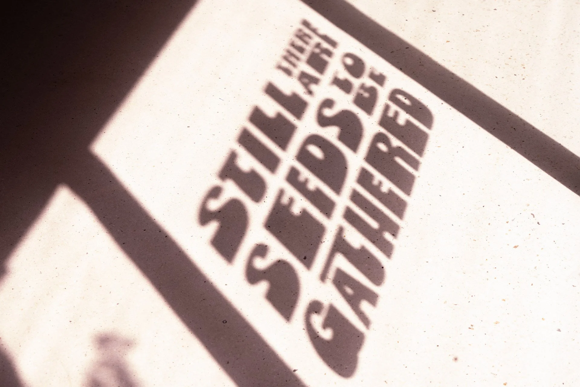 Laura_Novoa_SeedsToBeGathered- Entrance-8.jpg