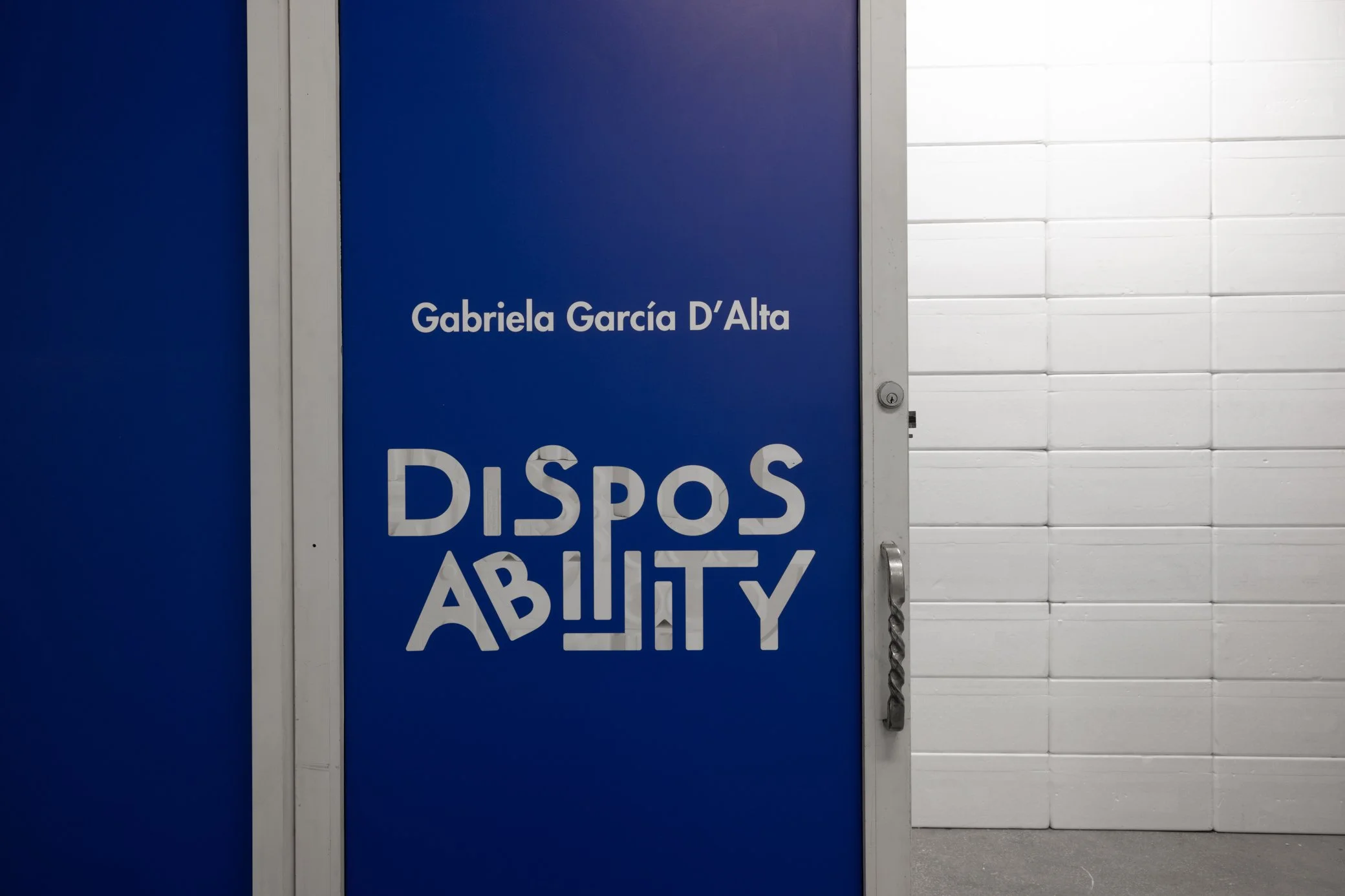 Laura_Novoa_DIisposability_disrupted_5IW3633.jpg