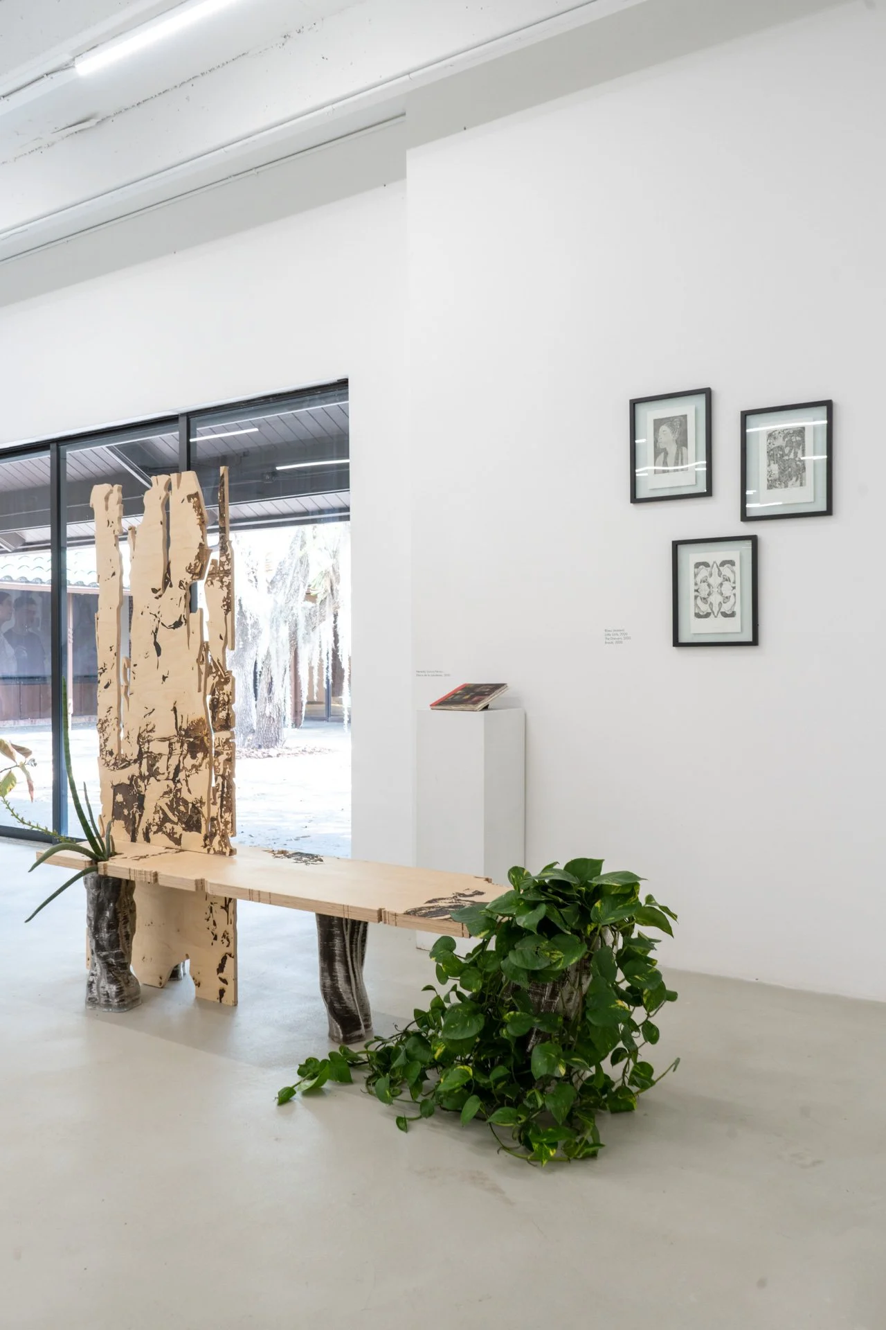 Laura_Novoa_SeedsToBeGathered- Room 3-39.jpg