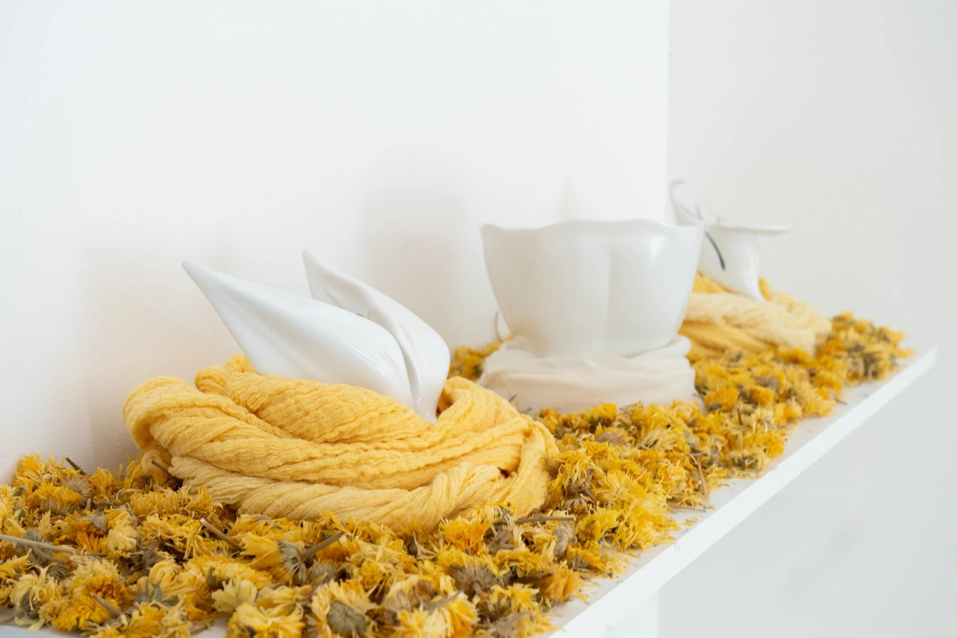 Laura_Novoa_SeedsToBeGathered- Hallway-10.jpg