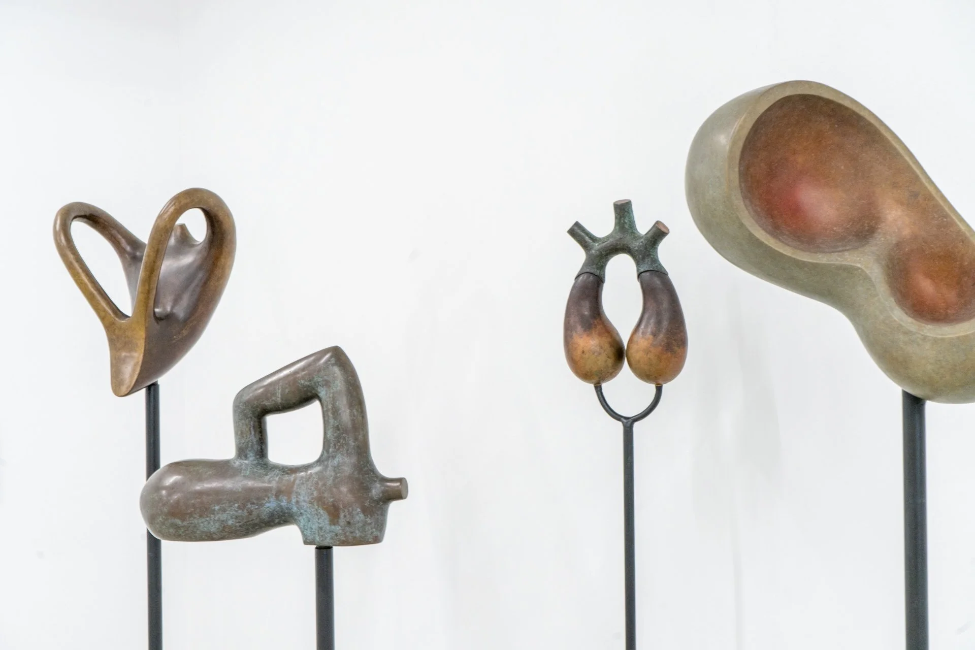 Laura_Novoa_SeedsToBeGathered- Room 3-46.jpg