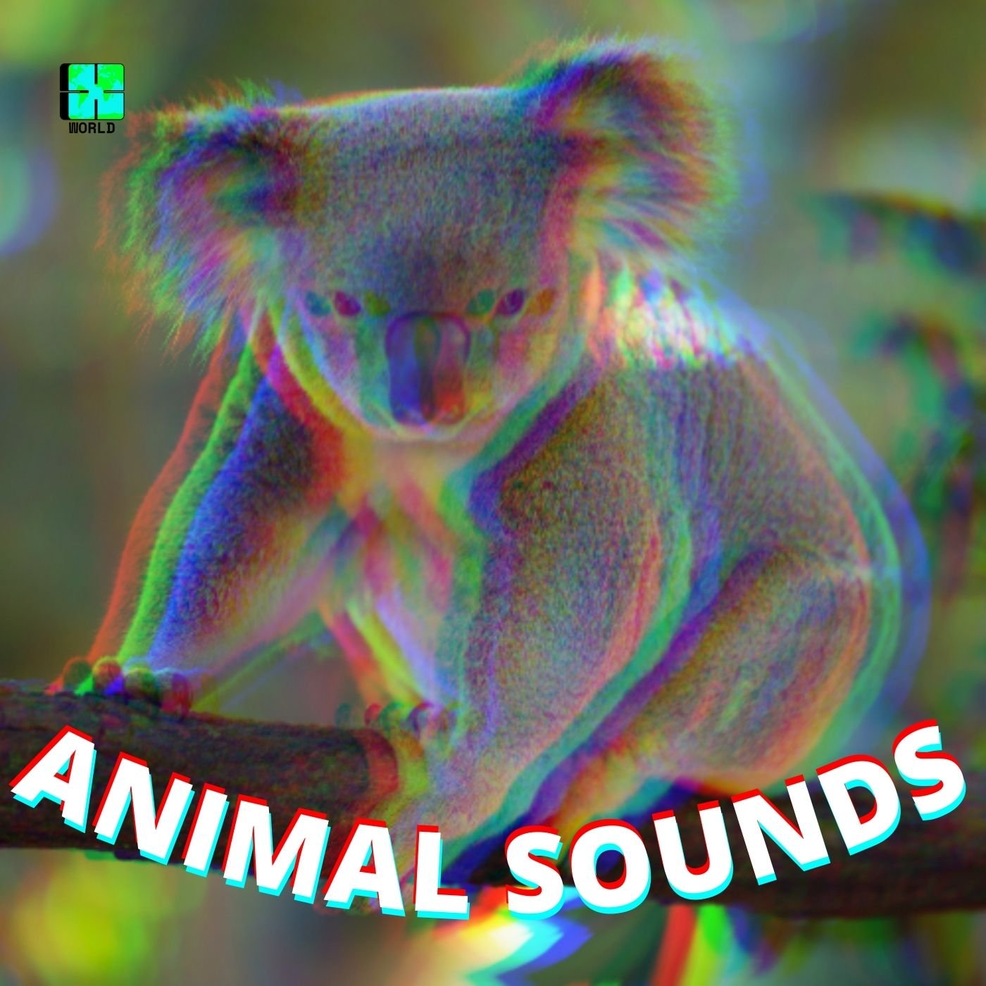 ANIMAL SOUNDS — X WORLD MUSIC