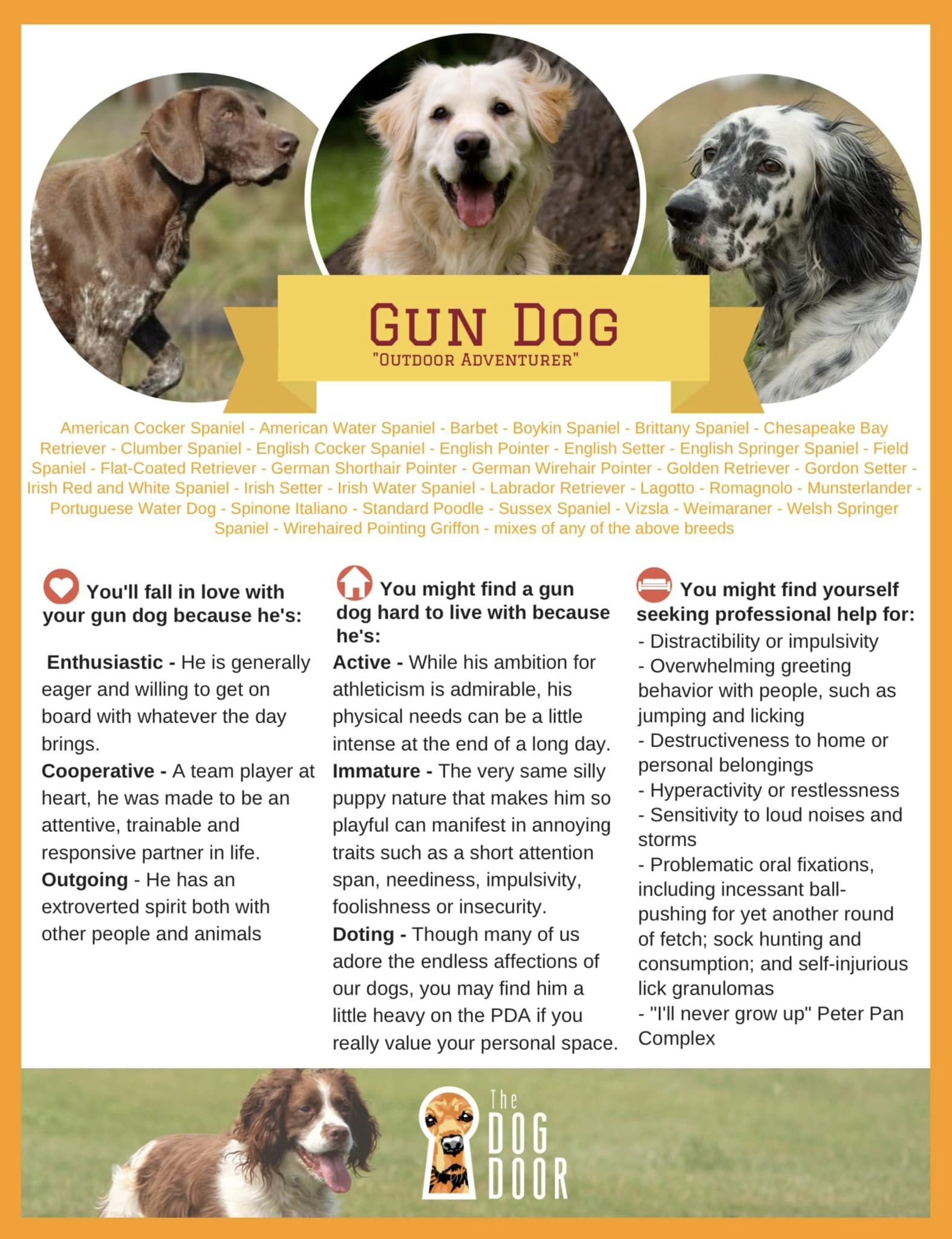 Gun Dog Group.jpg