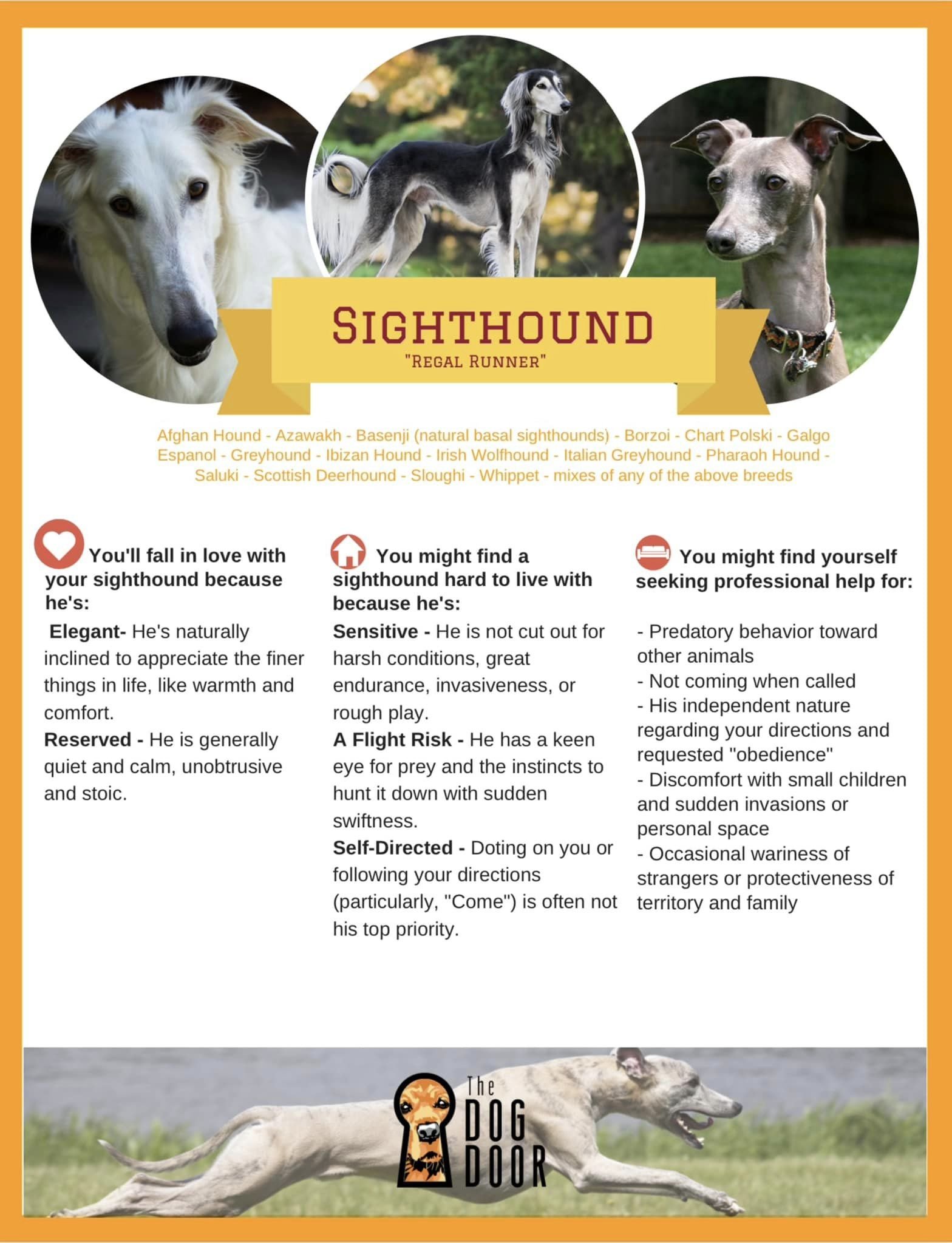 Sighthound group.jpg