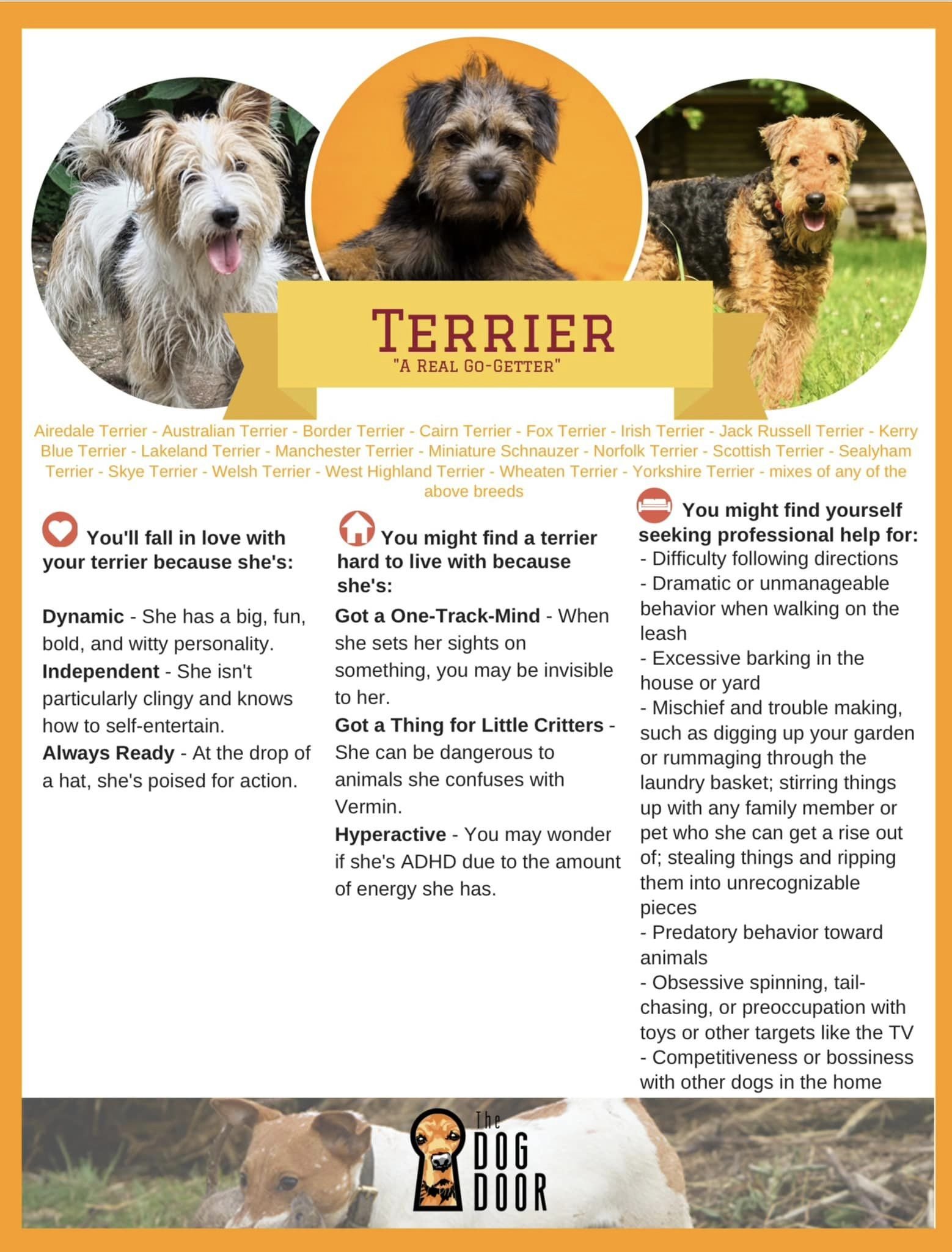 Terrier Group.jpg