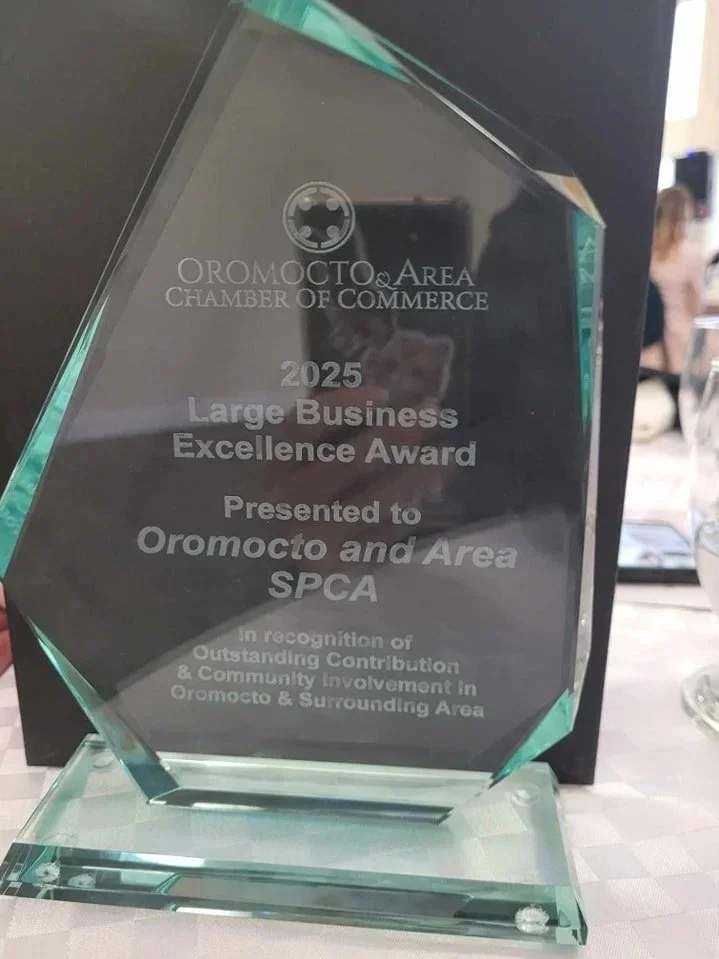 We won an AWARD!  ~ Thank you!  (and thanks TO you! )