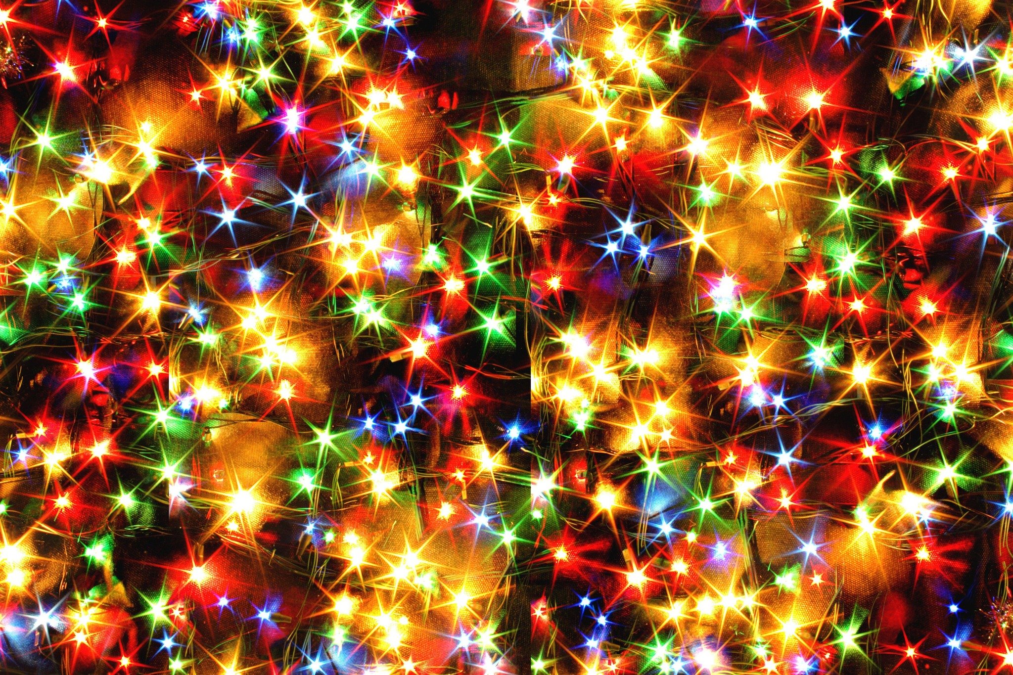 Christmas Lights Celebration