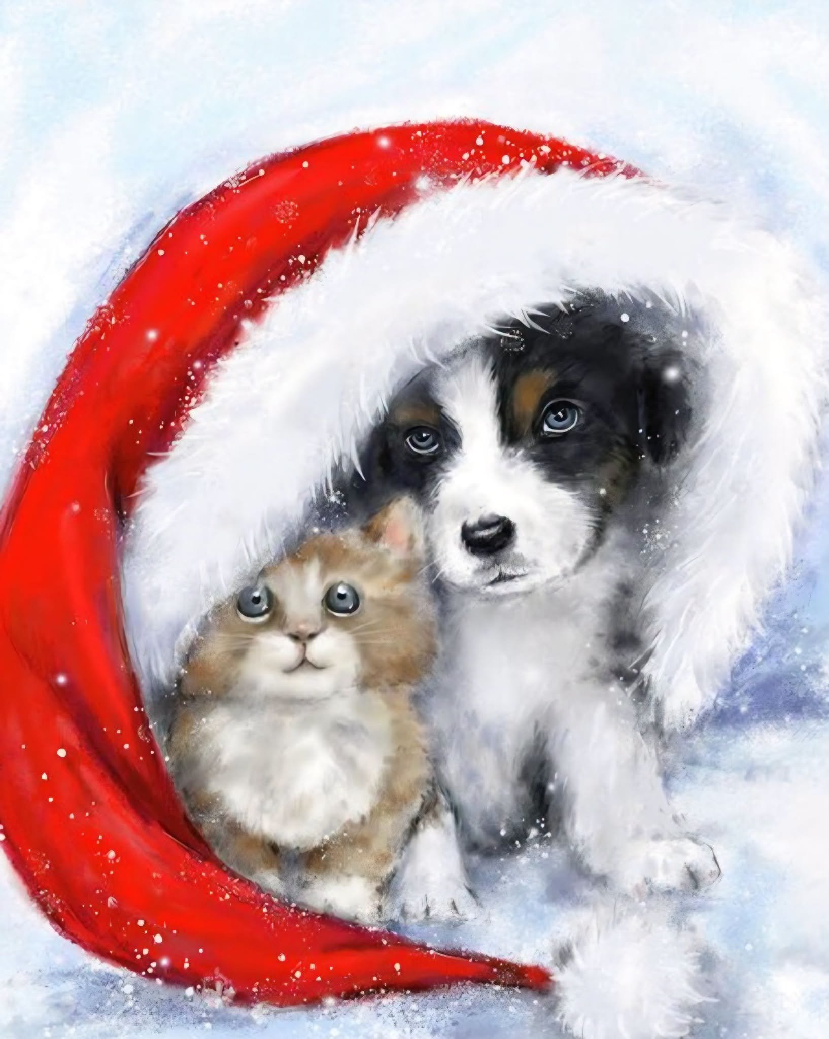 Pet Photos with Santa &amp; Friends!