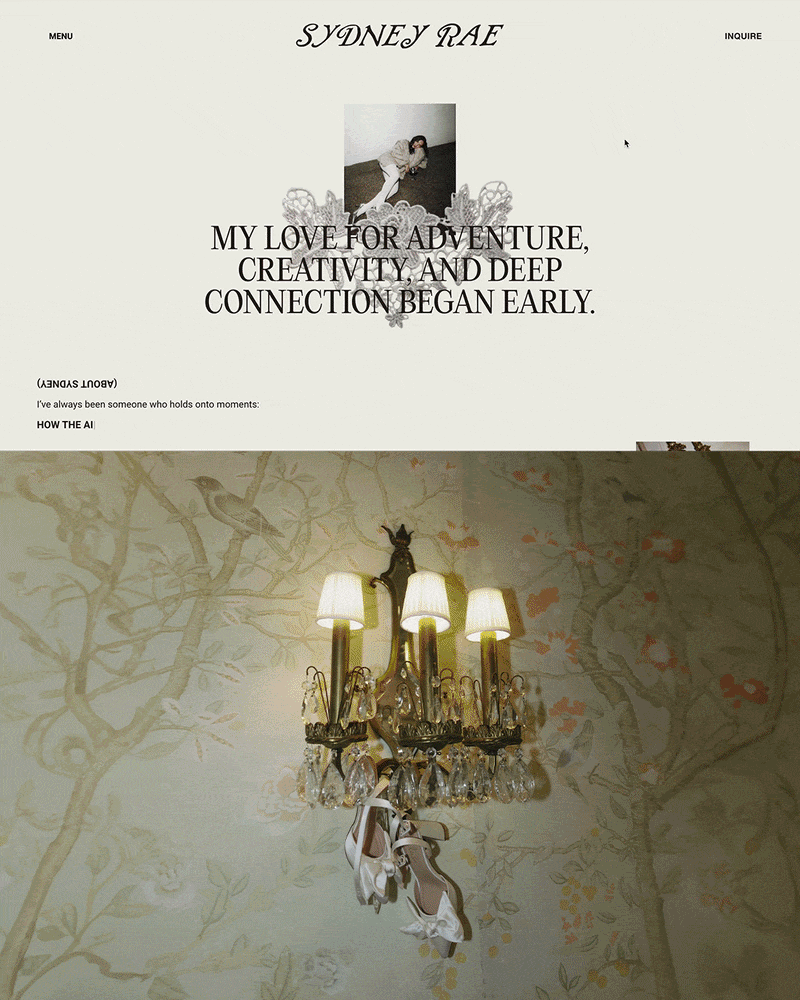 AuroraDesigned_SydneyRae_4.gif