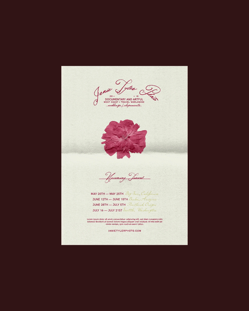 AuroraDesigned_Branding2.gif