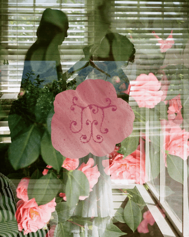 AuroraDesigned_Branding1.gif