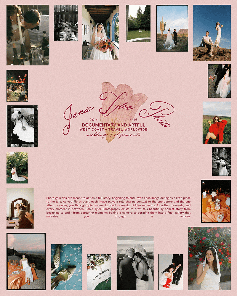 AuroraDesigned_Branding3.gif