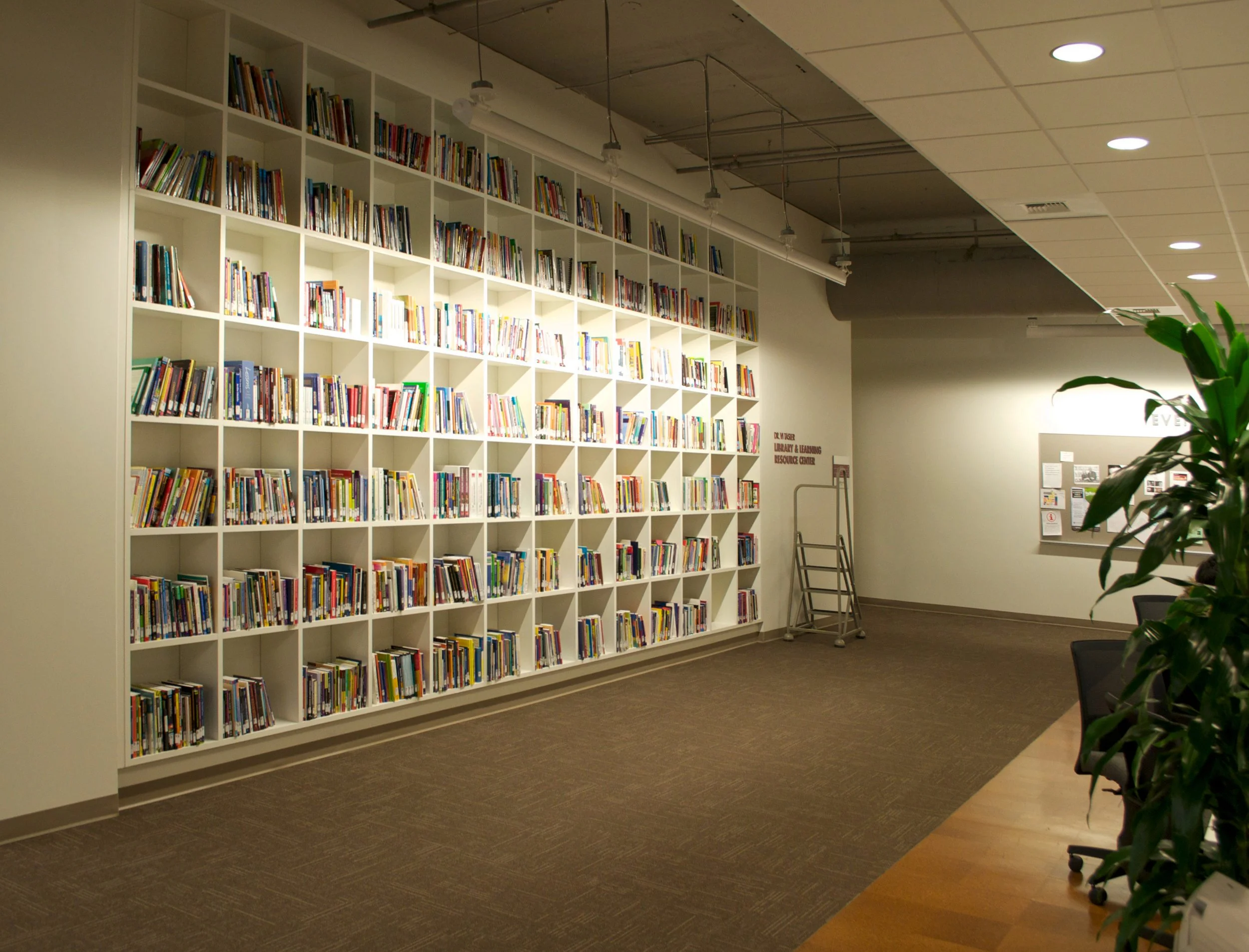 BUILT IN FLOOR TO CEILING BOOKSHELVES