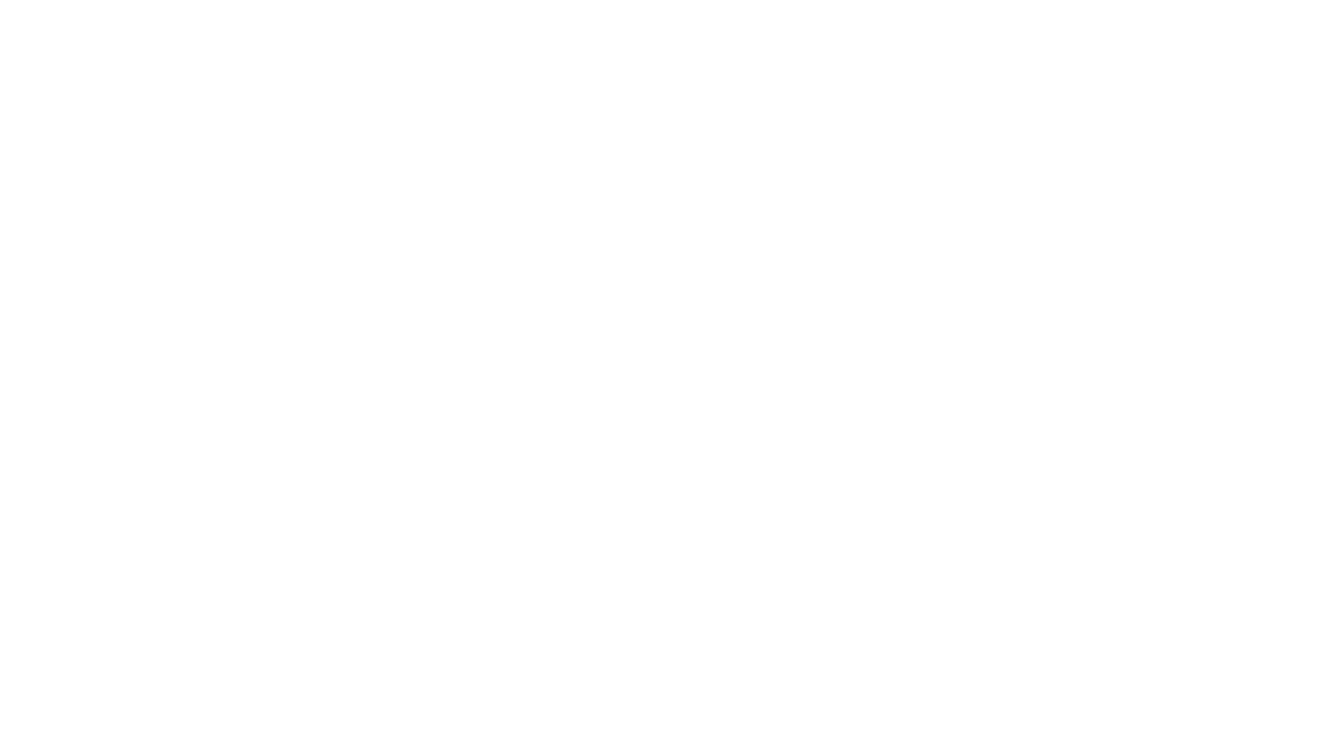Logo of McAlvany Precious Metals featuring the company name and tagline.