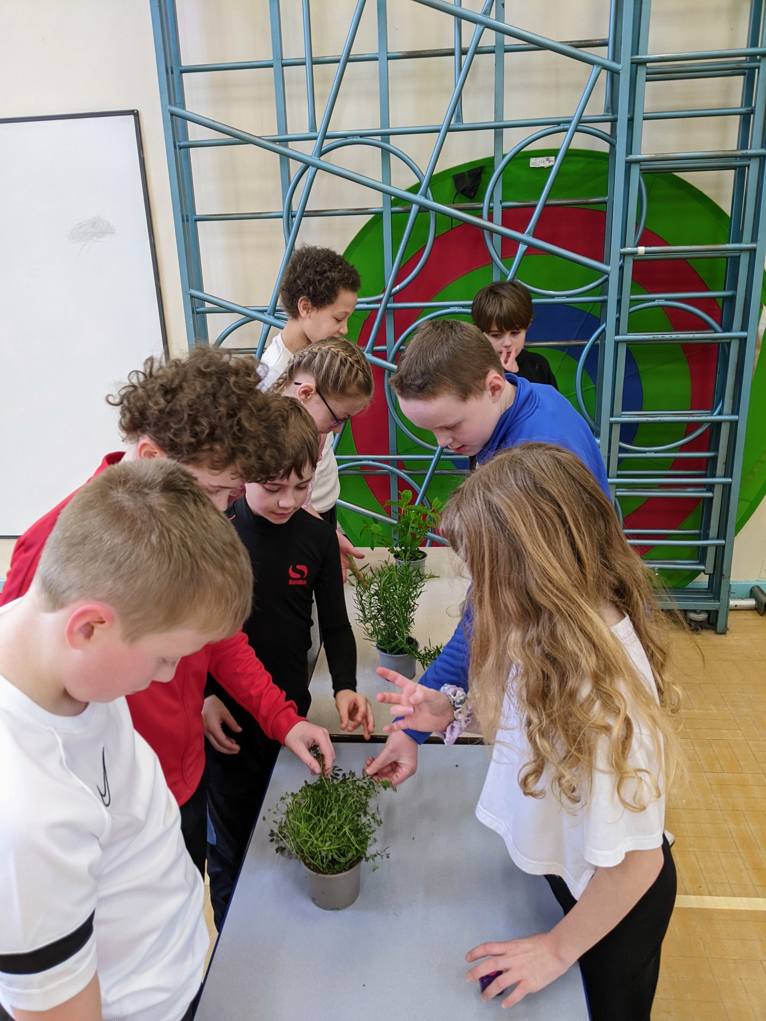 HealthyMe photos3.jpg