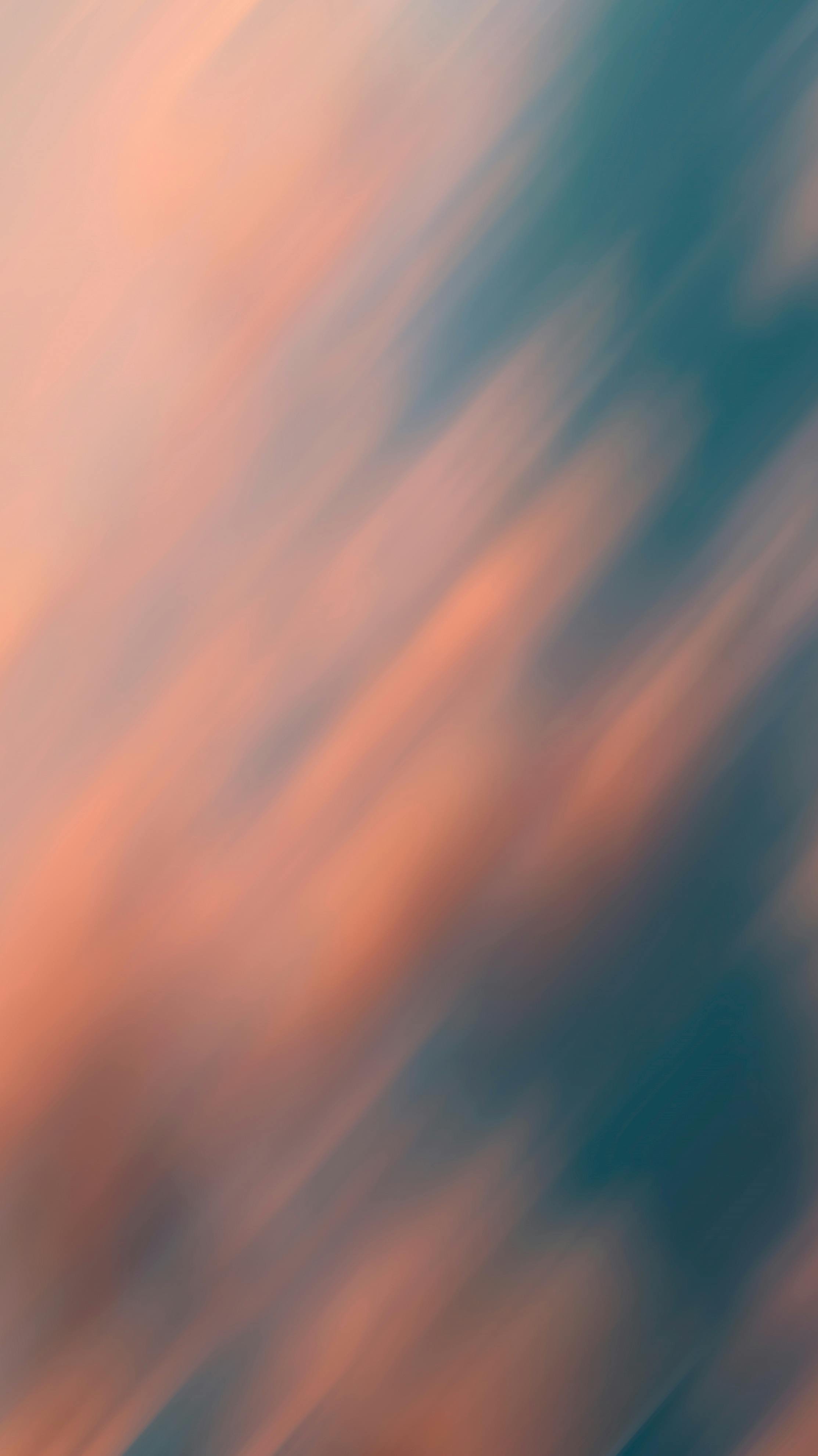 pexels-felipe-helfstein-871817-14198311.jpg