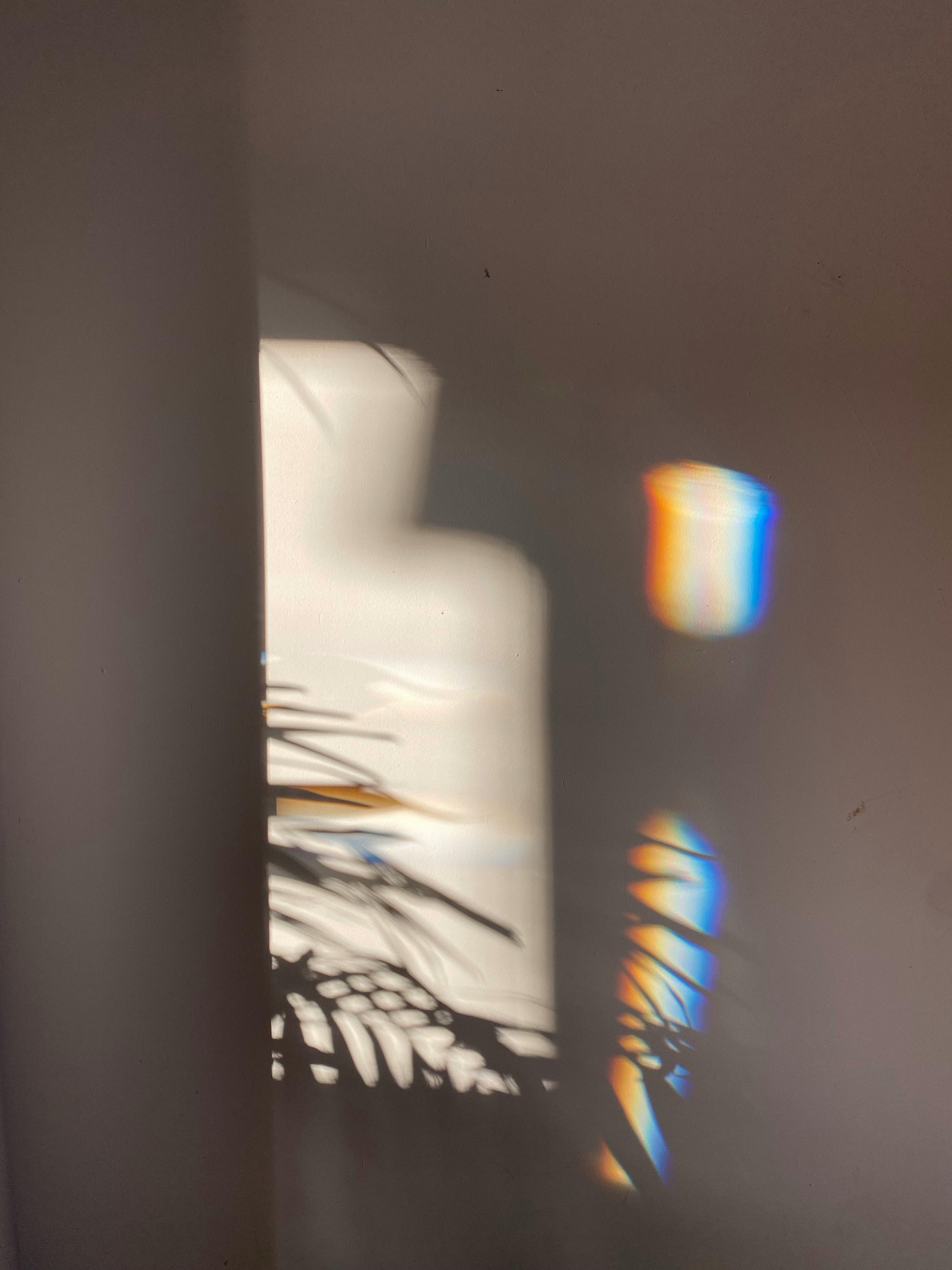 window shadows with leaves and rainbows.jpg