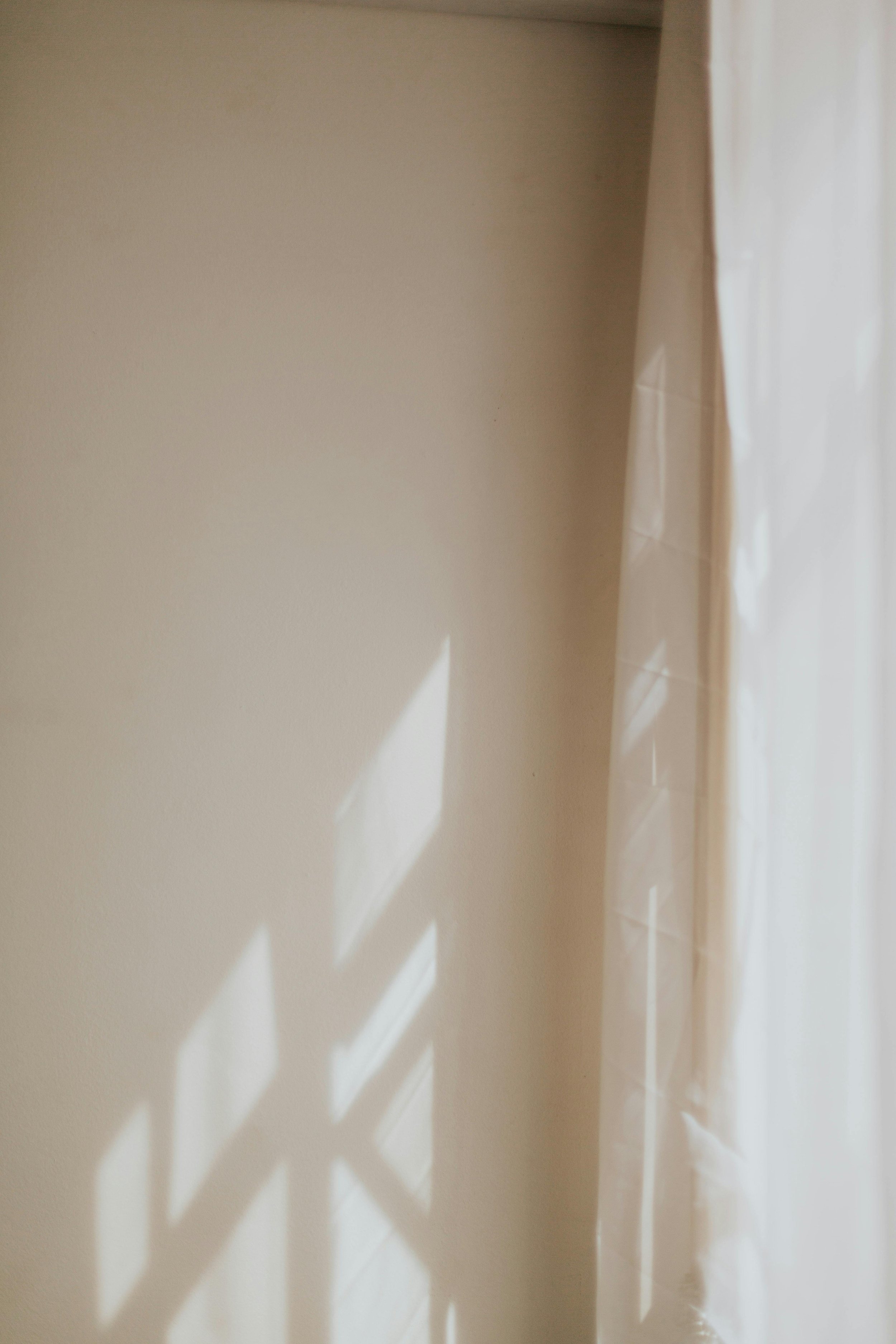 pexels-leticia-alvares-1805702-25685899.jpg