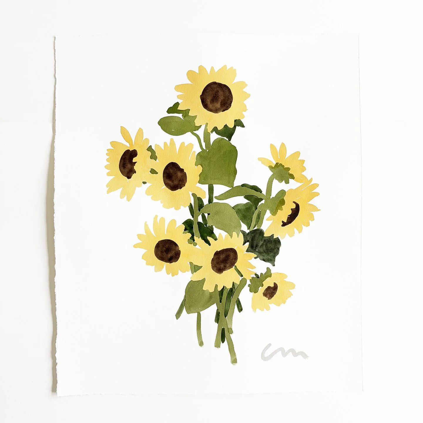 shop_sunflower4.jpg