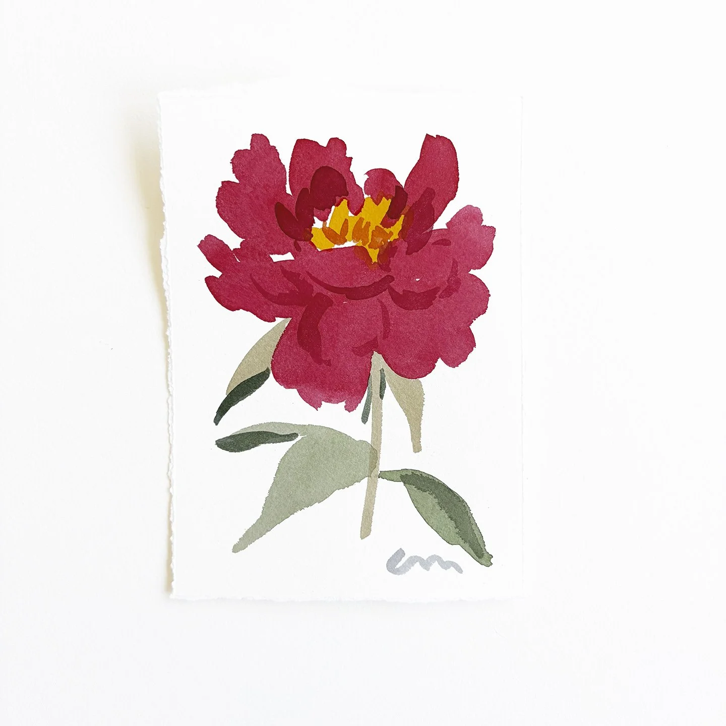 shop_peony.jpg