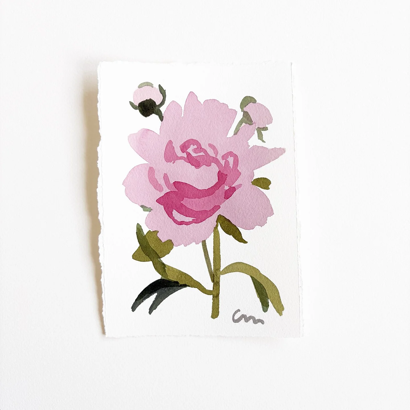 shop_peony1.jpg