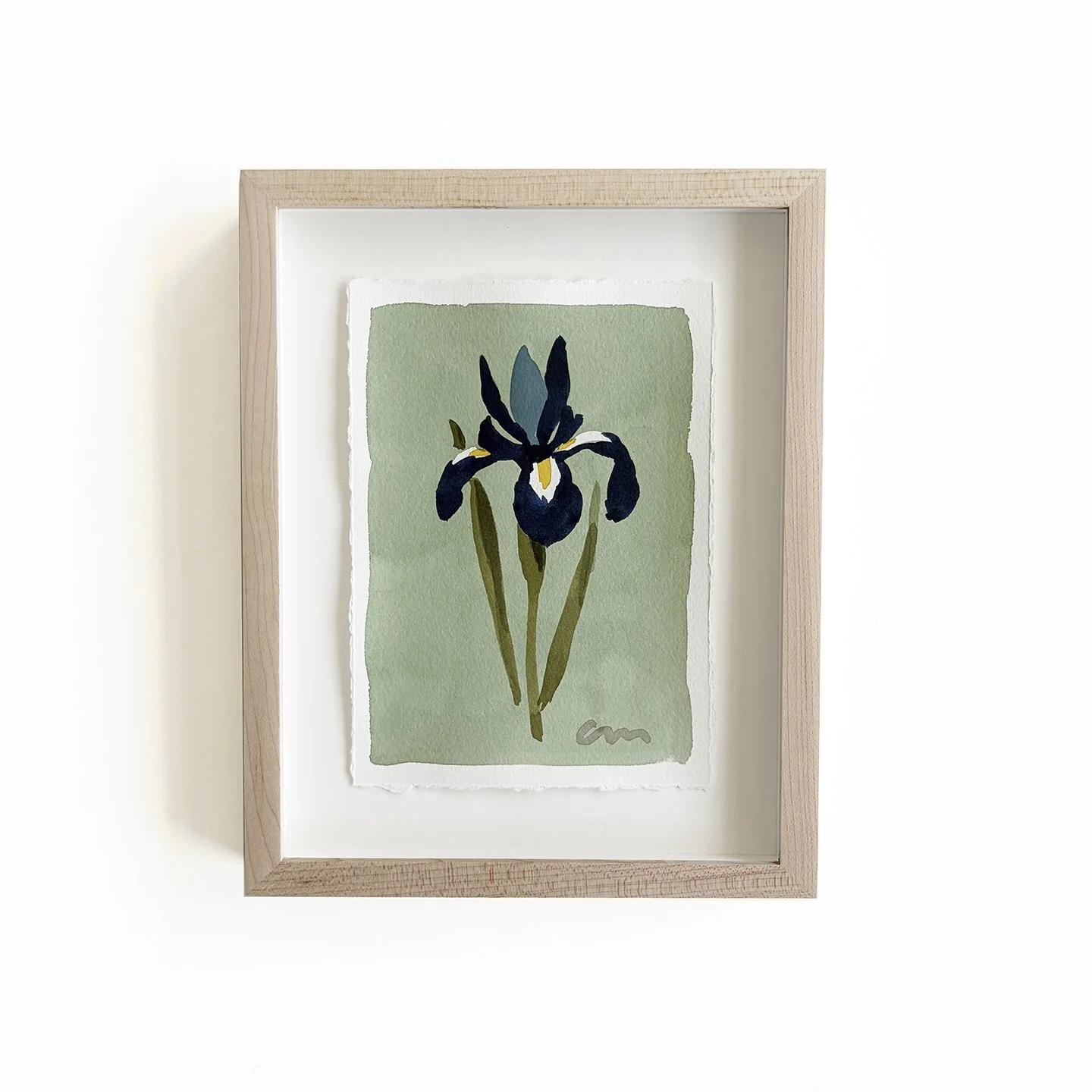 Dark Blue Iris