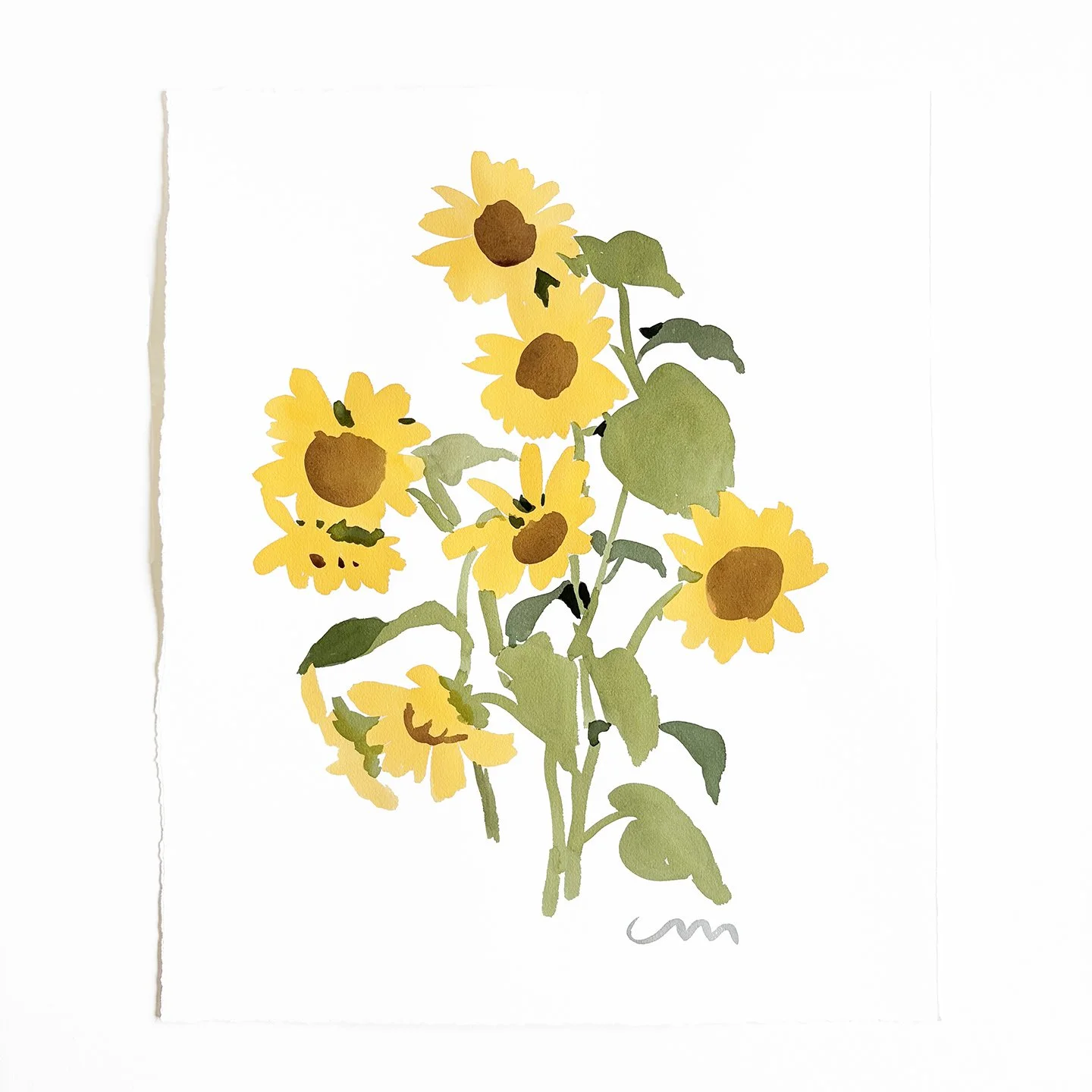 shop_sunflower3.jpg
