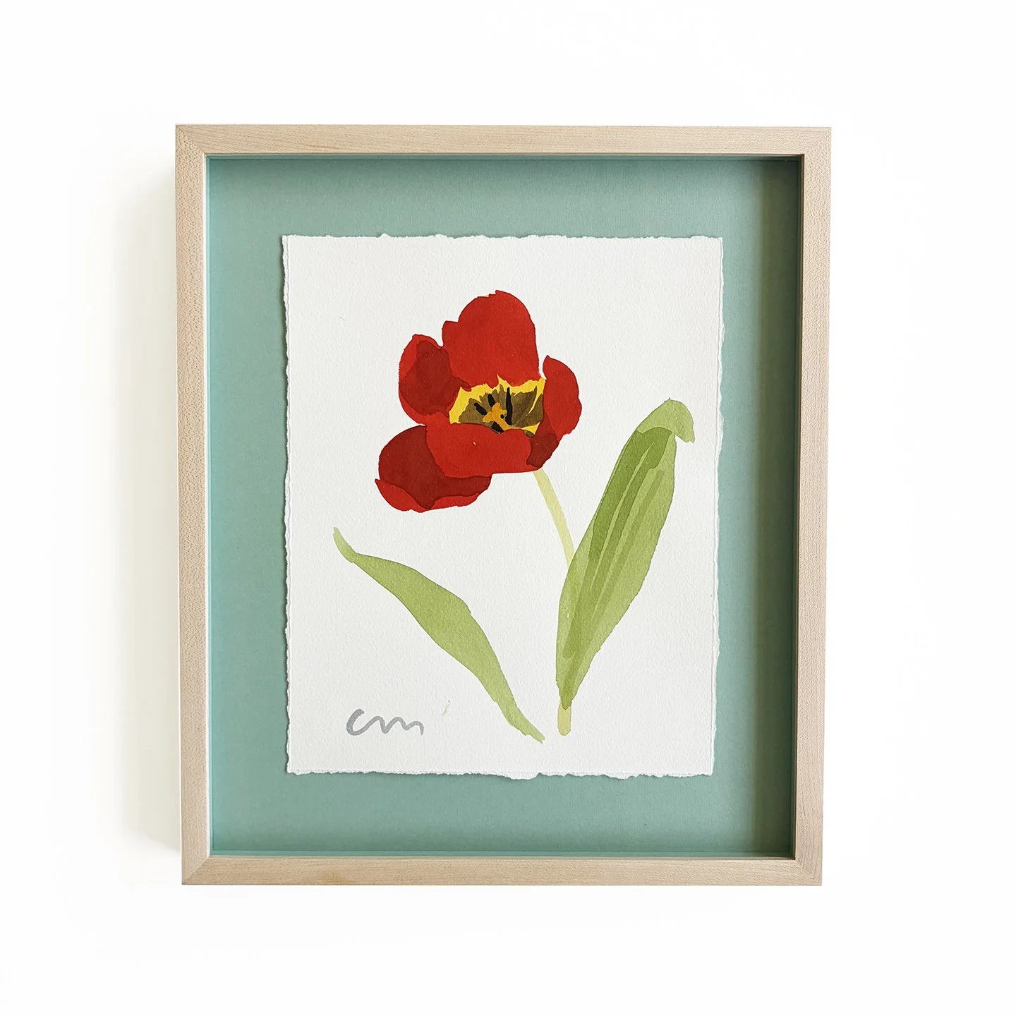 shop_tulip.jpg
