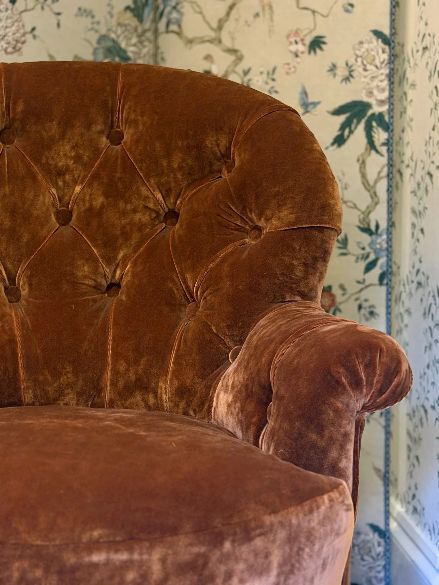 Velvet Crapaud 007.jpg