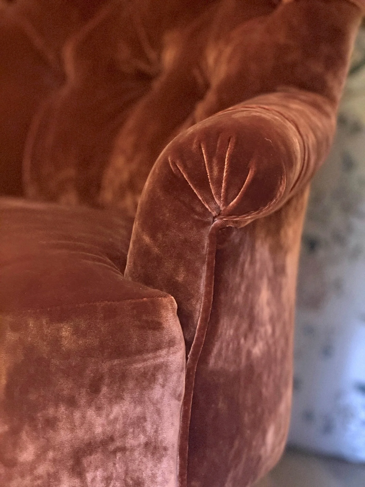 Velvet Crapaud 008.jpg