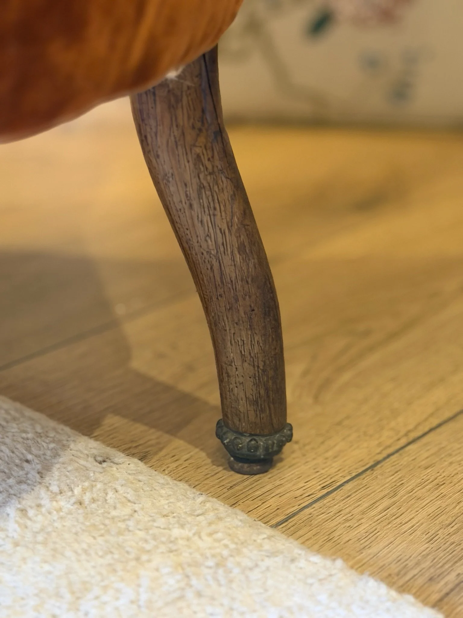 Velvet Crapaud 006.JPG