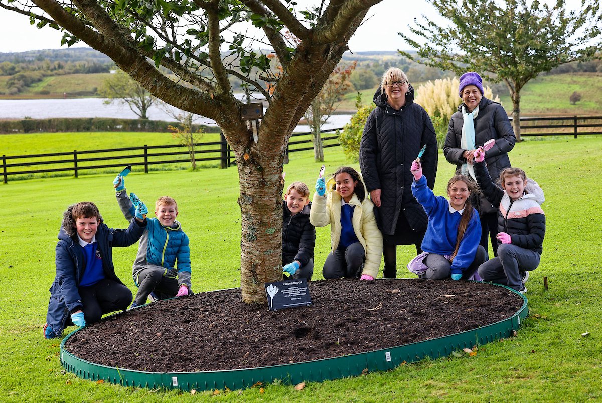 The Crocus Project Holocaust Education Ireland the-crocus-project-holocaust-education-ireland