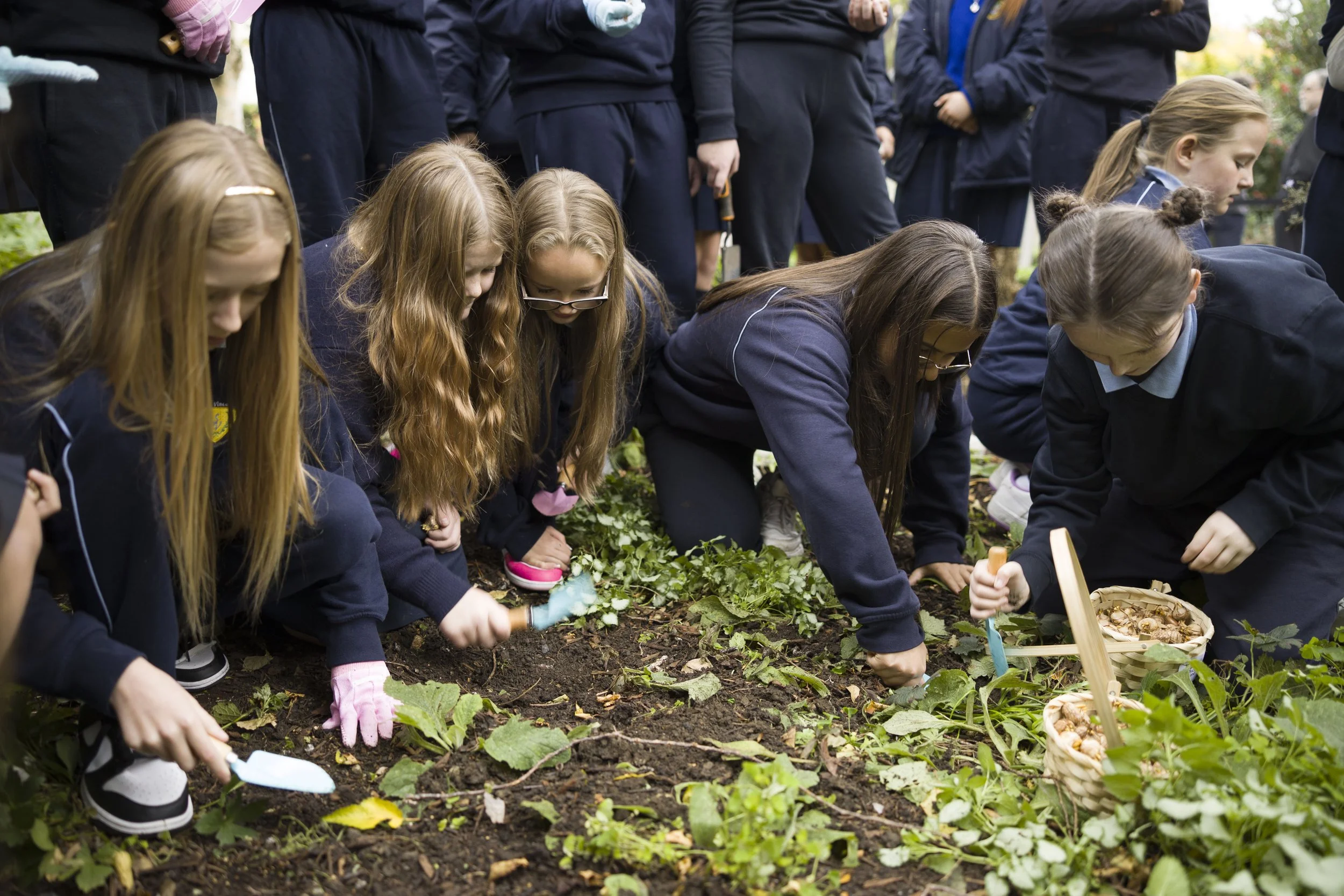 Launch of the Crocus Project 2023 at Dublin Castle