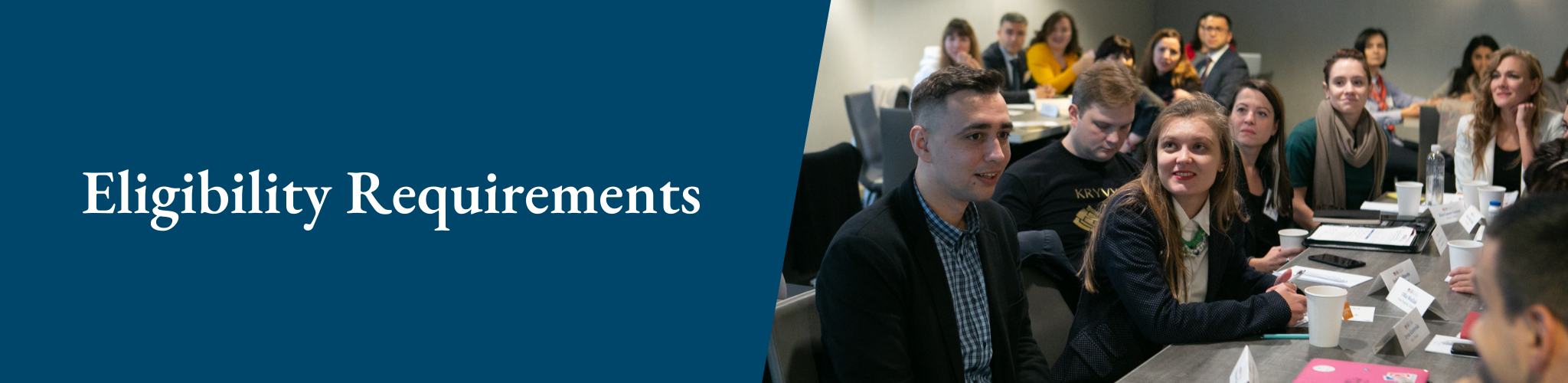 Pfp Requirements Eligibility Requirements — Professional Fellows Program