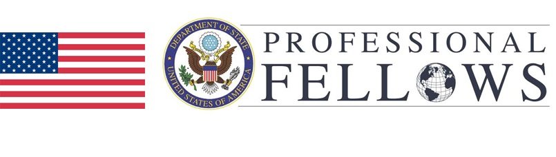 Professional Fellows Program