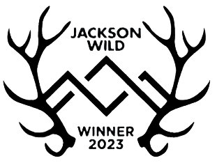 jacksonwild laurel.png