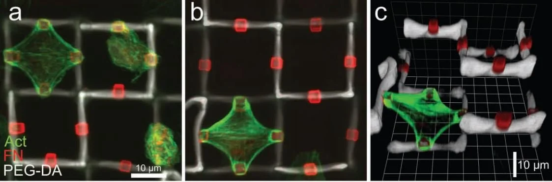 Our key takeaways from the BICO 2021 partnership conference
