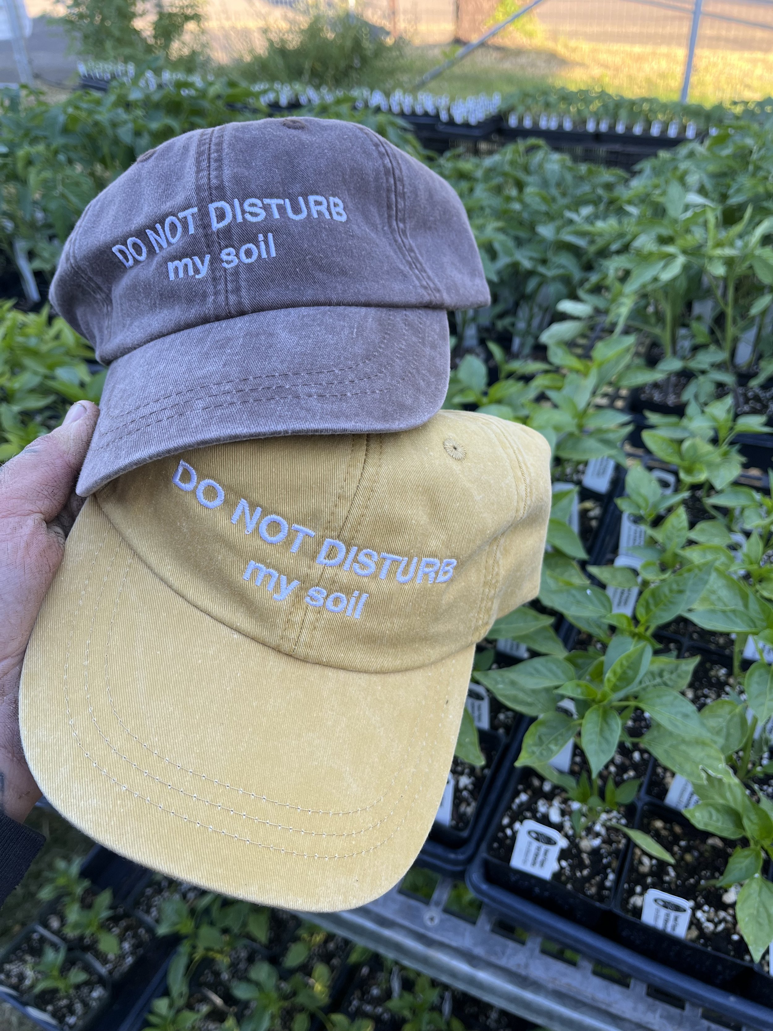 Do Not Disturb My Soil - Hat