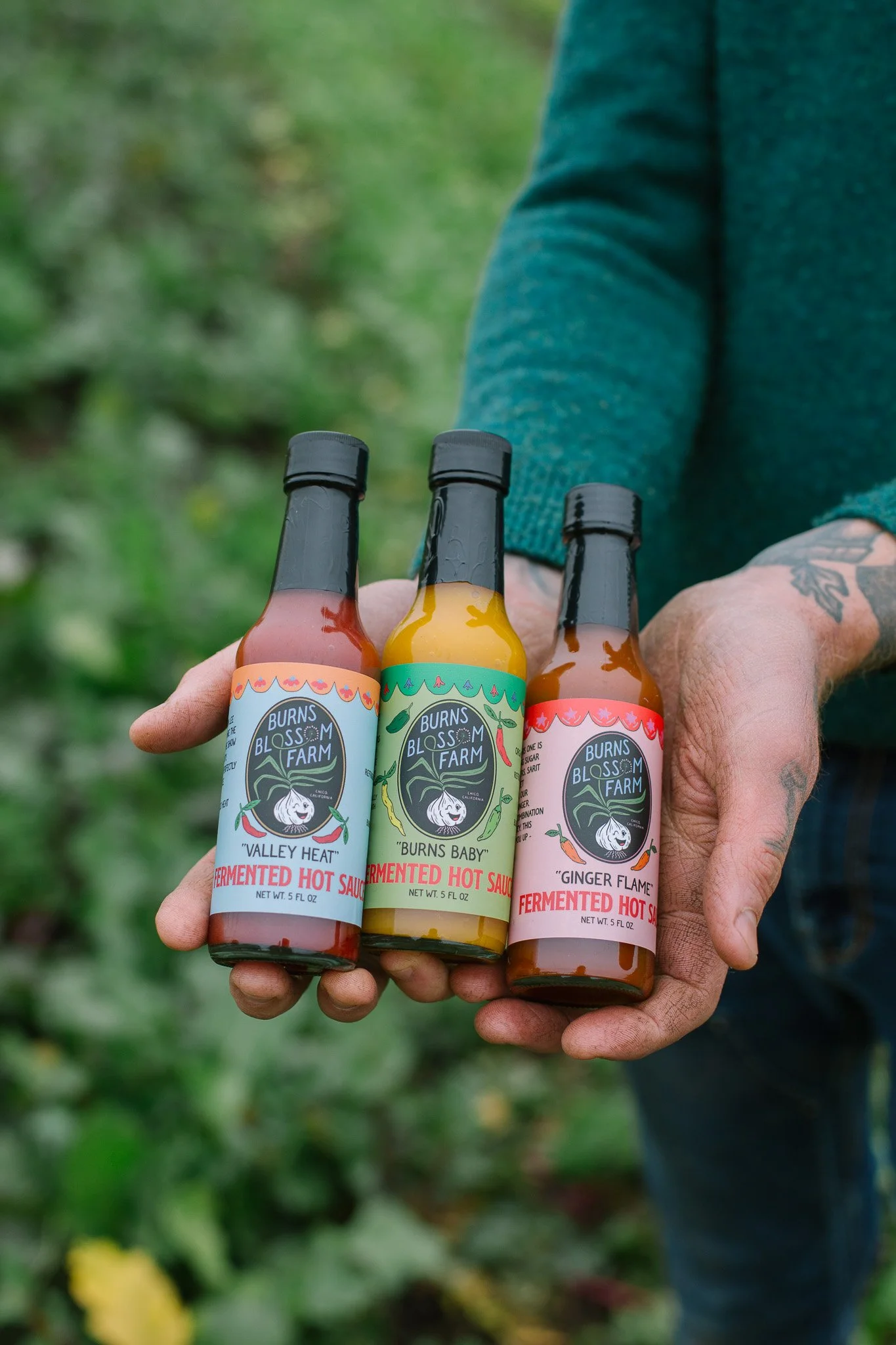 Hot Sauce Variety 3-Pack