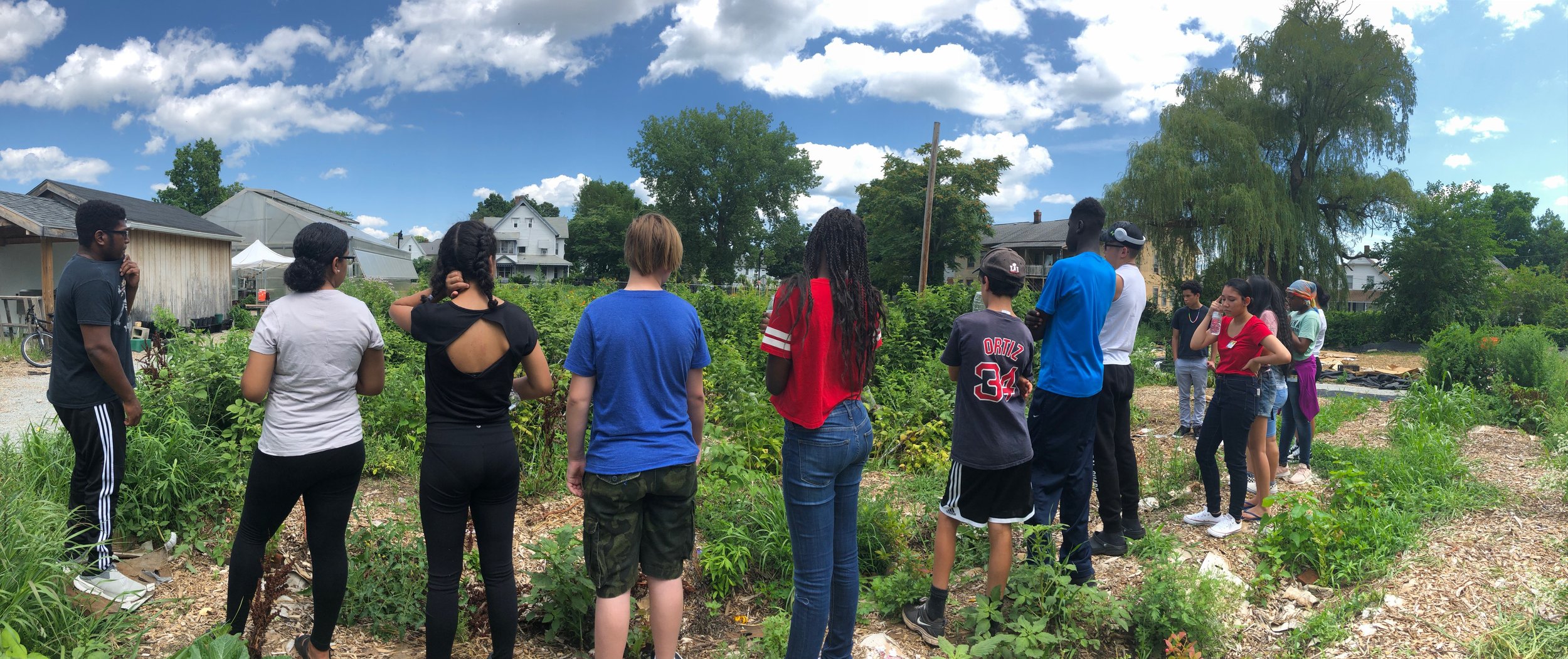 A field trip to an urban farm during a session of Springfield City Library's summer Teens in Civics Initiative. Led by librarian Alex Remy with activities and games inspired by the YA book "How I Resist" by Maureen Johnson.
