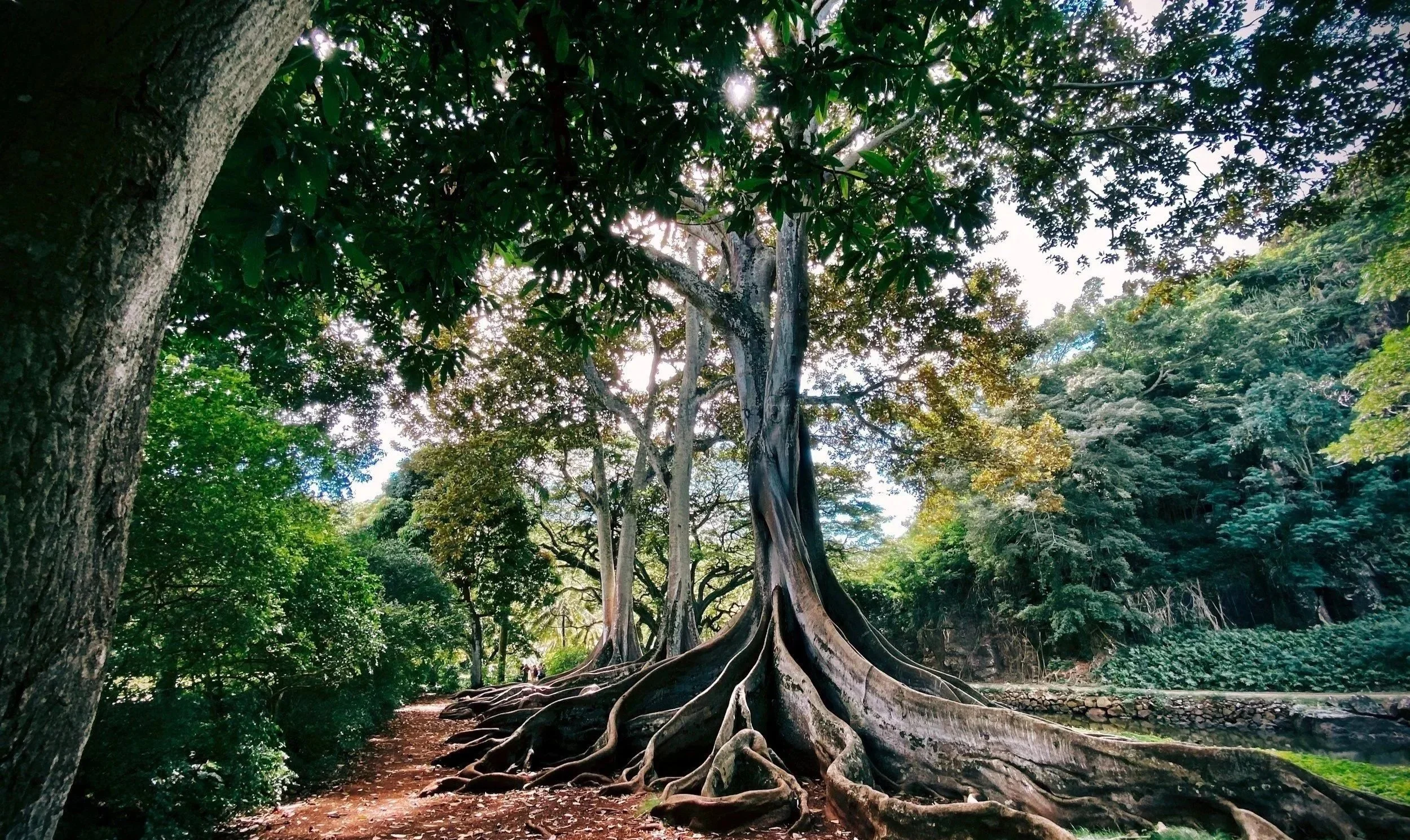 Organize without the overwhelm