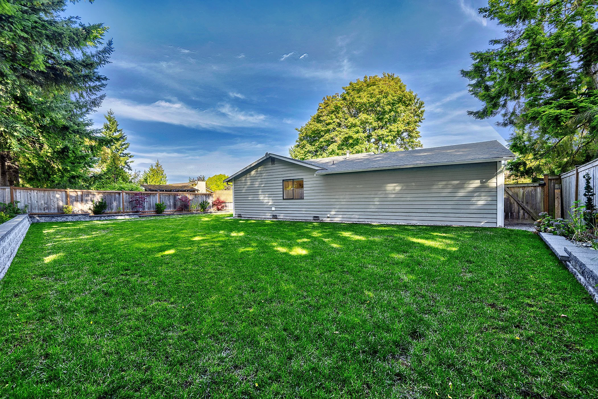 backyard b.jpg