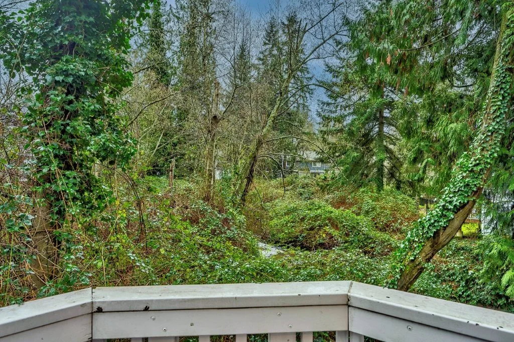 view of stream from deck.jpg