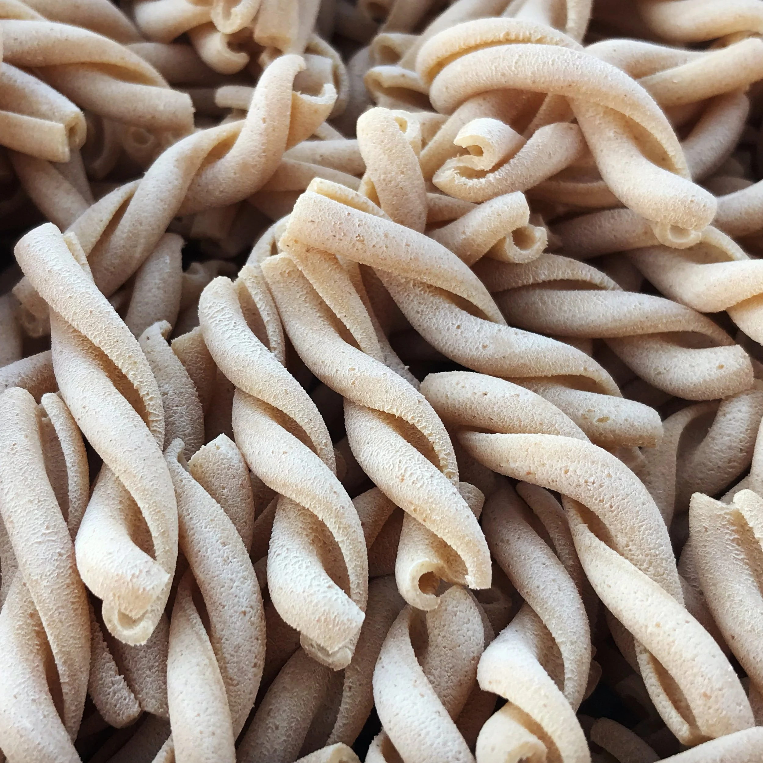 Gallery — The Pasta Lab