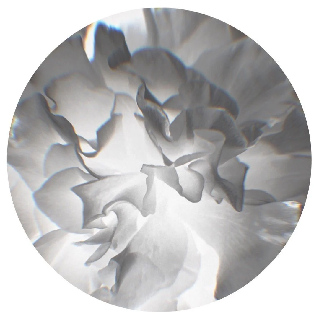 Researchers and practioners of bio-innovation in its many forms are invited to participate in our litmus test to gauge perspectives on the bio-innovation sector since 2010 and its potential developments over the next 15 years. By exploring key figure