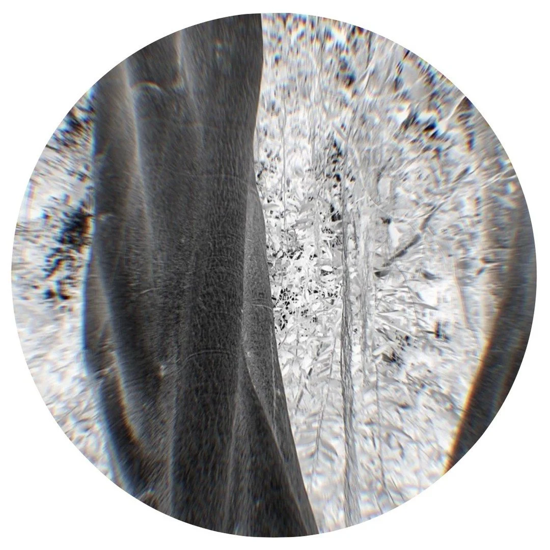 Through our education and training arm, BIOstudium&trade;, we offer a menu of learning activities structured around four main themes, which are designing with nature, with complexity, with circularity, and with resilience. The first of these themes f