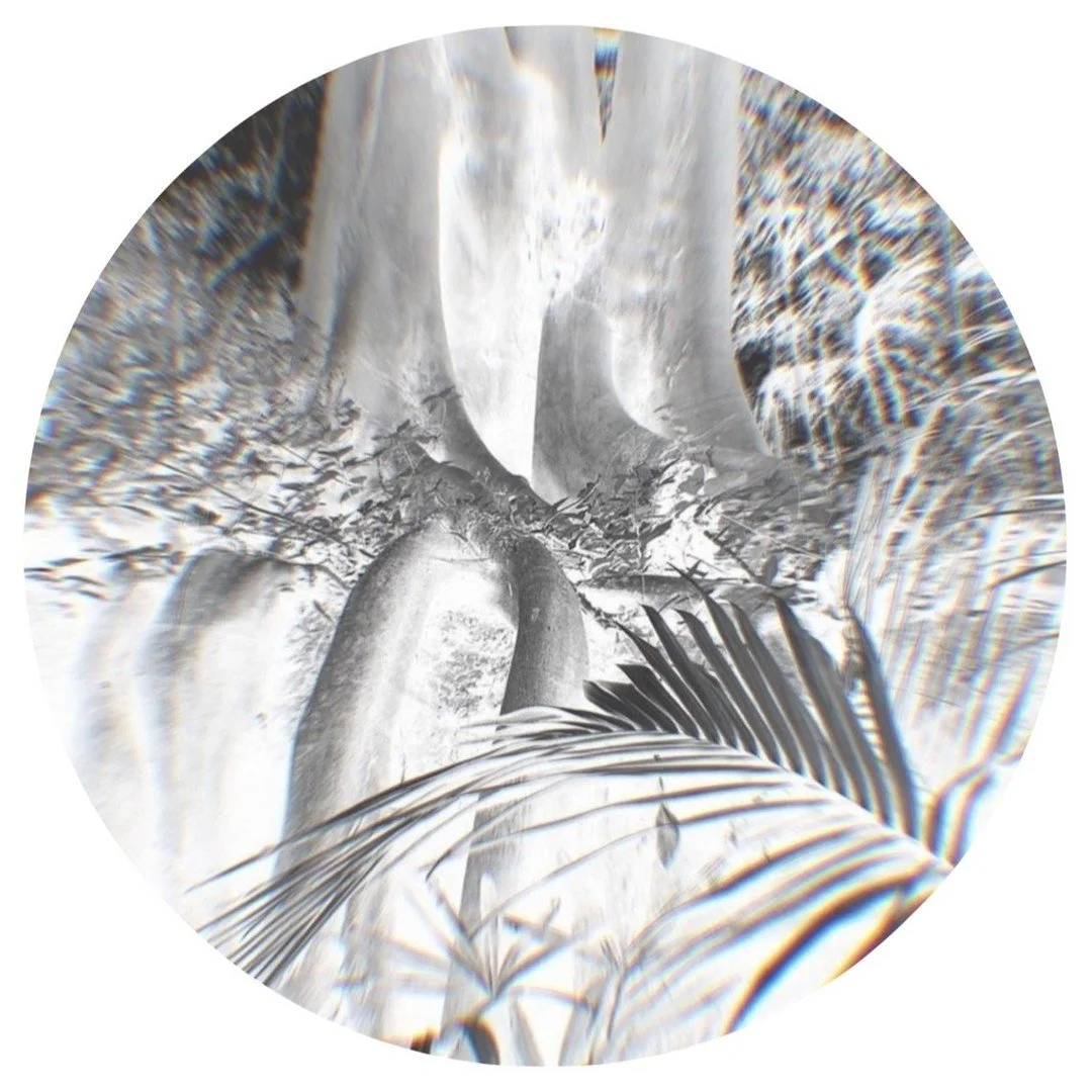 Our masterclasses, workshops, and curated programmes are offered through BIOstudium&trade; and are designed to help businesses at every stage of their learning journey. #bioinnovation #bioeconomy #biodesign #biomaterials