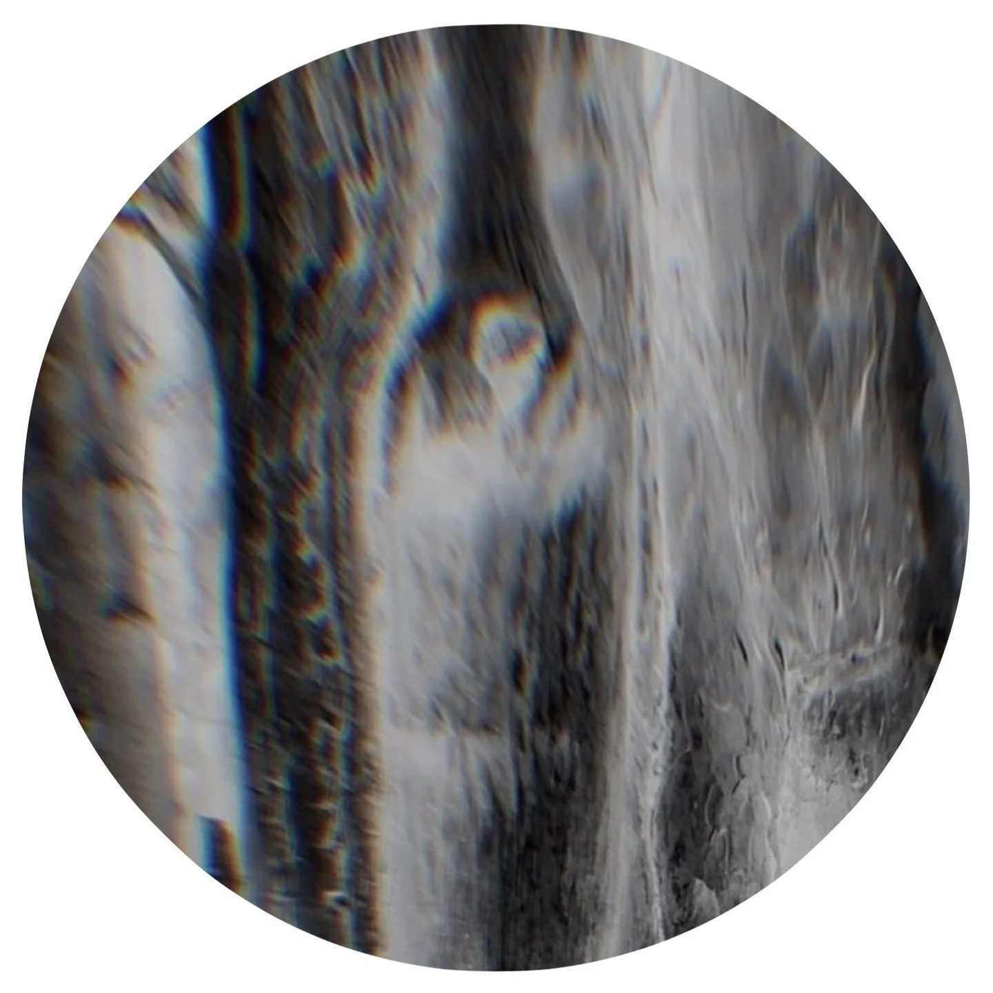 Published as a Substack zine, BIOfutures is designed for professionals, researchers, designers, artists and thinkers working at the edge of the bio-inspired fields. Subscribers can expect a carefully curated mix of long-form and short-form content, i